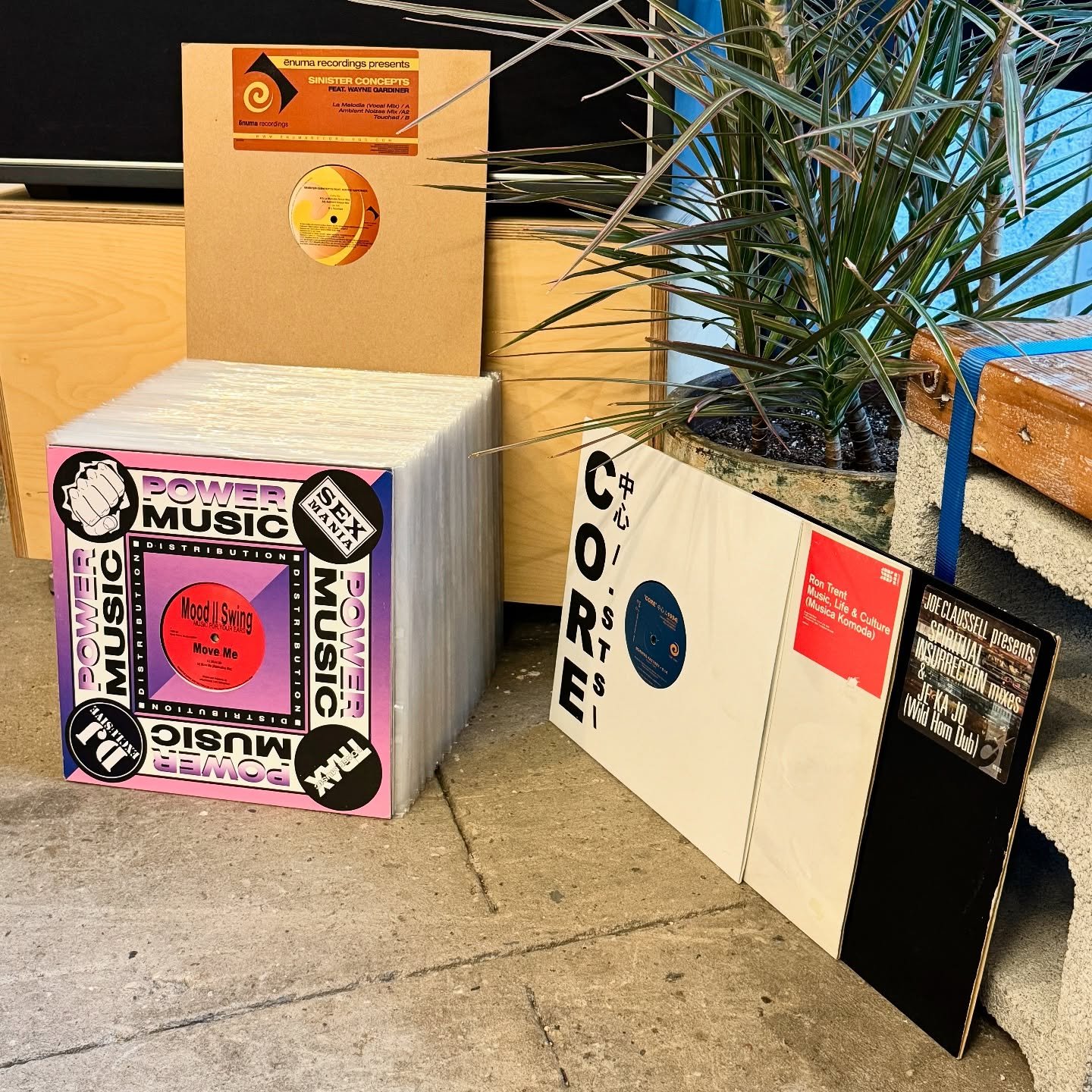 Big stack of House heat just hit the bins ꥟ don&rsquo;t sleep

These and plenty of other fine specimens will be available for inspection between the hours of 12pm &amp; 8pm eastern standard time. And then again tomorrow between those same numbers of 