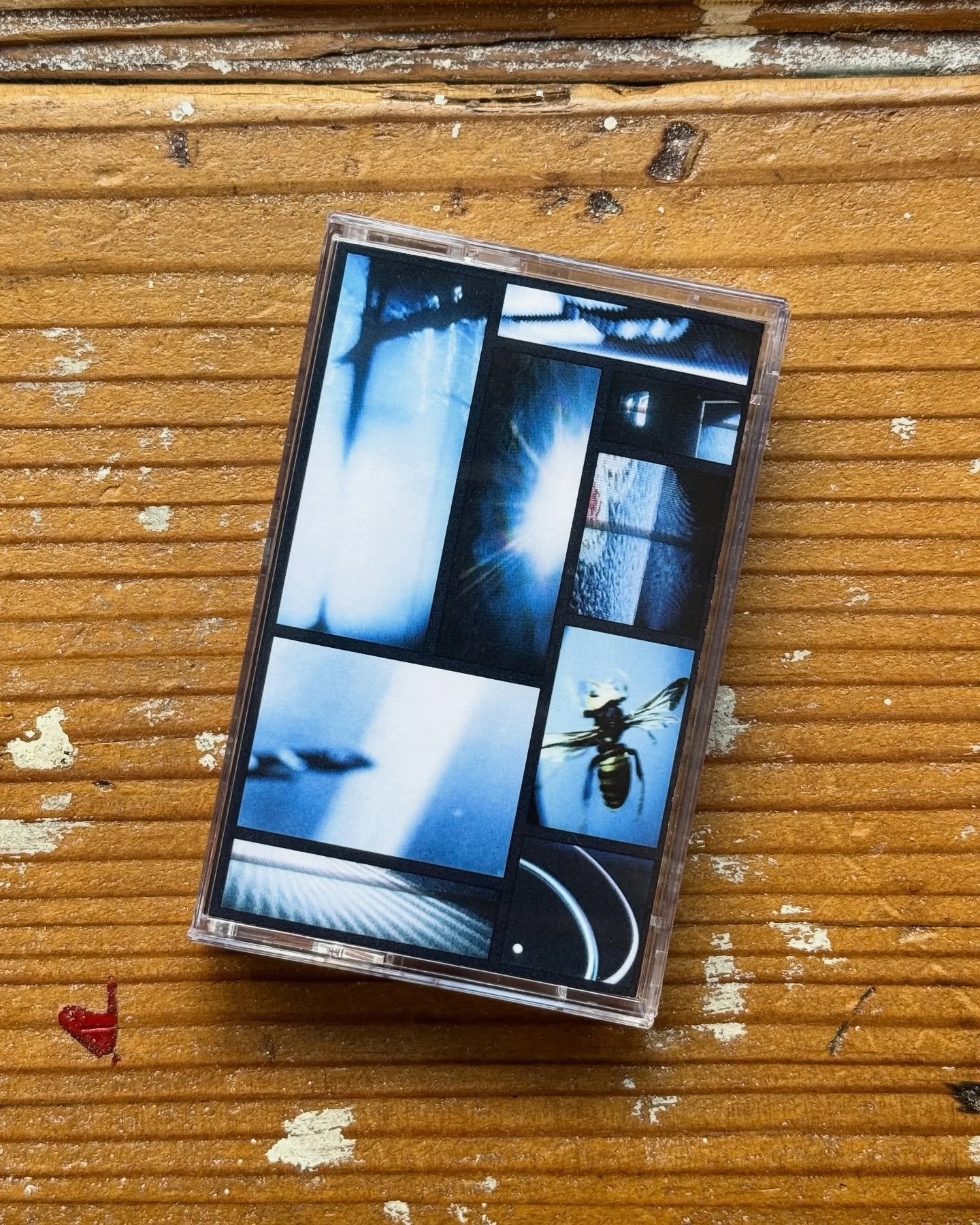 More Purelink, different medium
Live recording released on Kudzu Audio

&ldquo;𝗣𝗨𝗥𝗘𝗟𝗜𝗡𝗞 𝗟𝗜𝗩𝗘&ldquo; (𝗞𝗭𝗨𝟬𝟬𝟯)
Available in the shop now