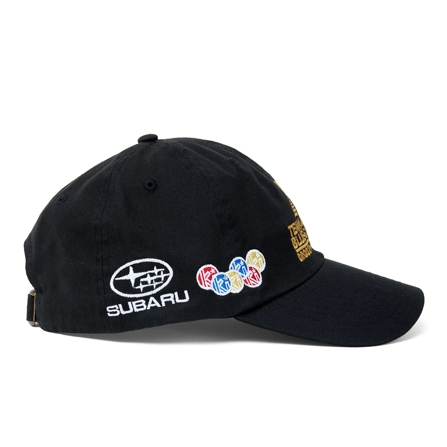Blue-Sun_Team6Panel_4.jpg