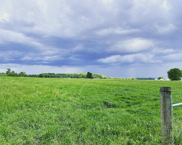 We didn&rsquo;t quite get our sheep moved before the hail arrived. #movingsheep #ewesandlambs #pastured #pasturedlambs #sheepfarm #sheepfarmer #silvervalleyfarm #indiana