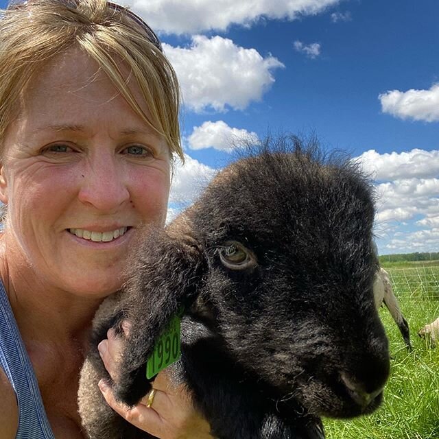 We had a lamb born earlier this month that was rather small. He was possibly a bit premature and for a while we weren&rsquo;t sure he&rsquo;d make it. I found him on day 4 in the straw limp and his breathing was very labored. I have no idea what happ