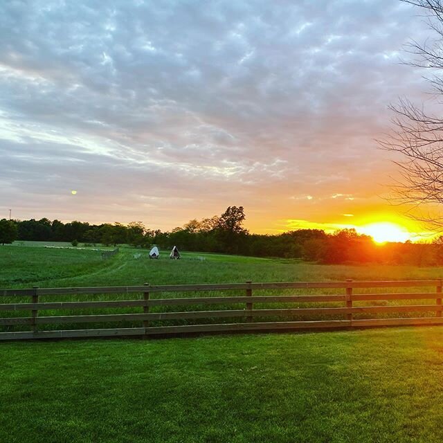 Sunset at the farm. #silvervalleyfarm #sheepfarm #henwagons #happysheep #happyhens