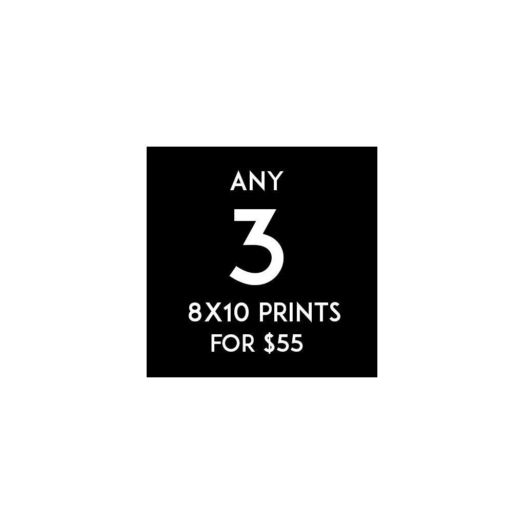 3 - 8x10 Print Custom Bundle