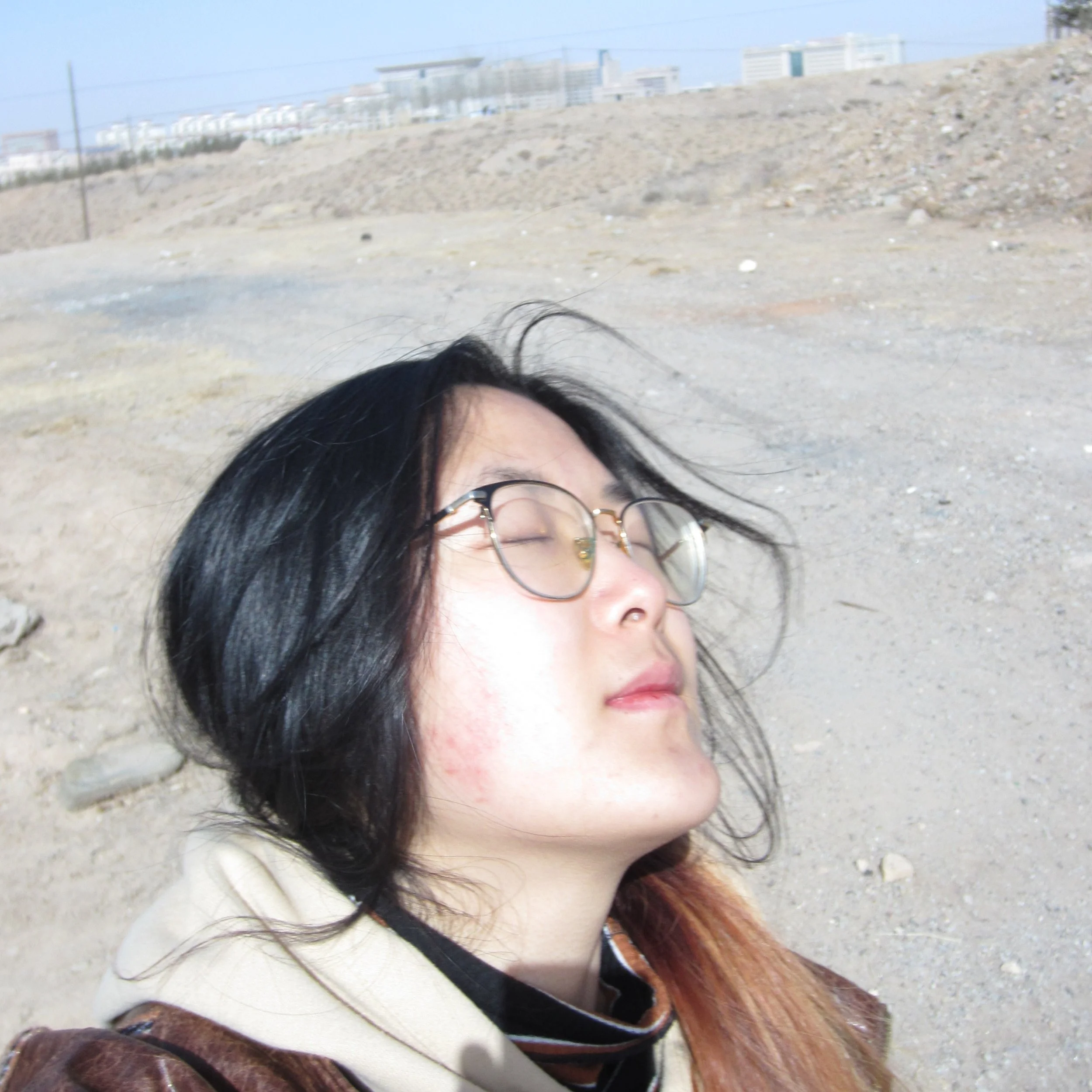 Duannaiyu Wang