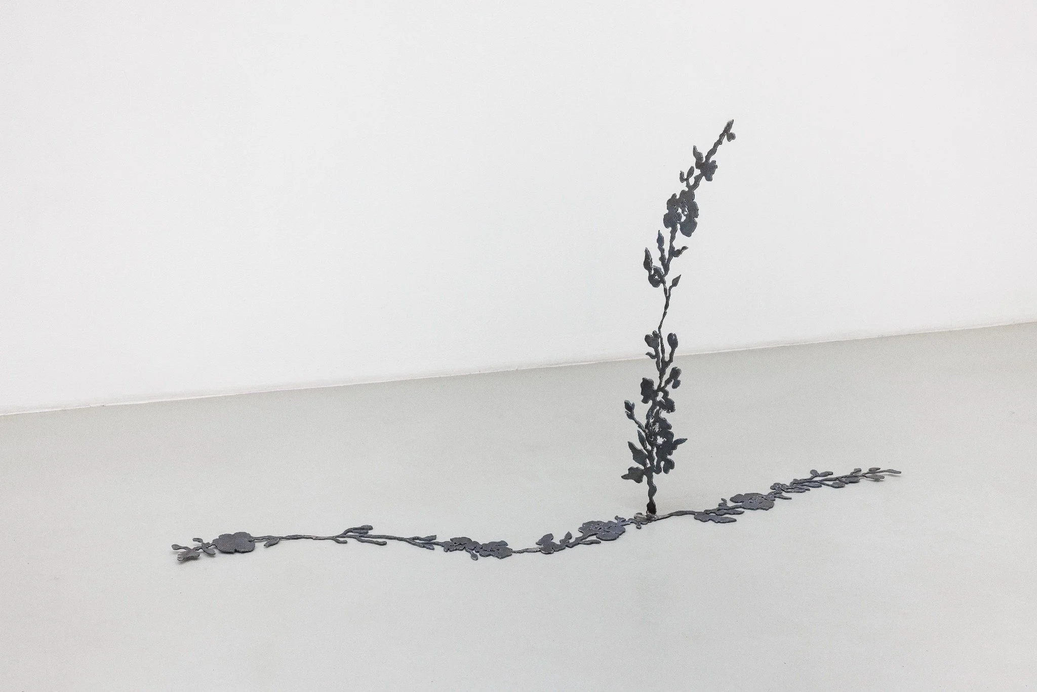 Bloom of a Vanishing Dream 