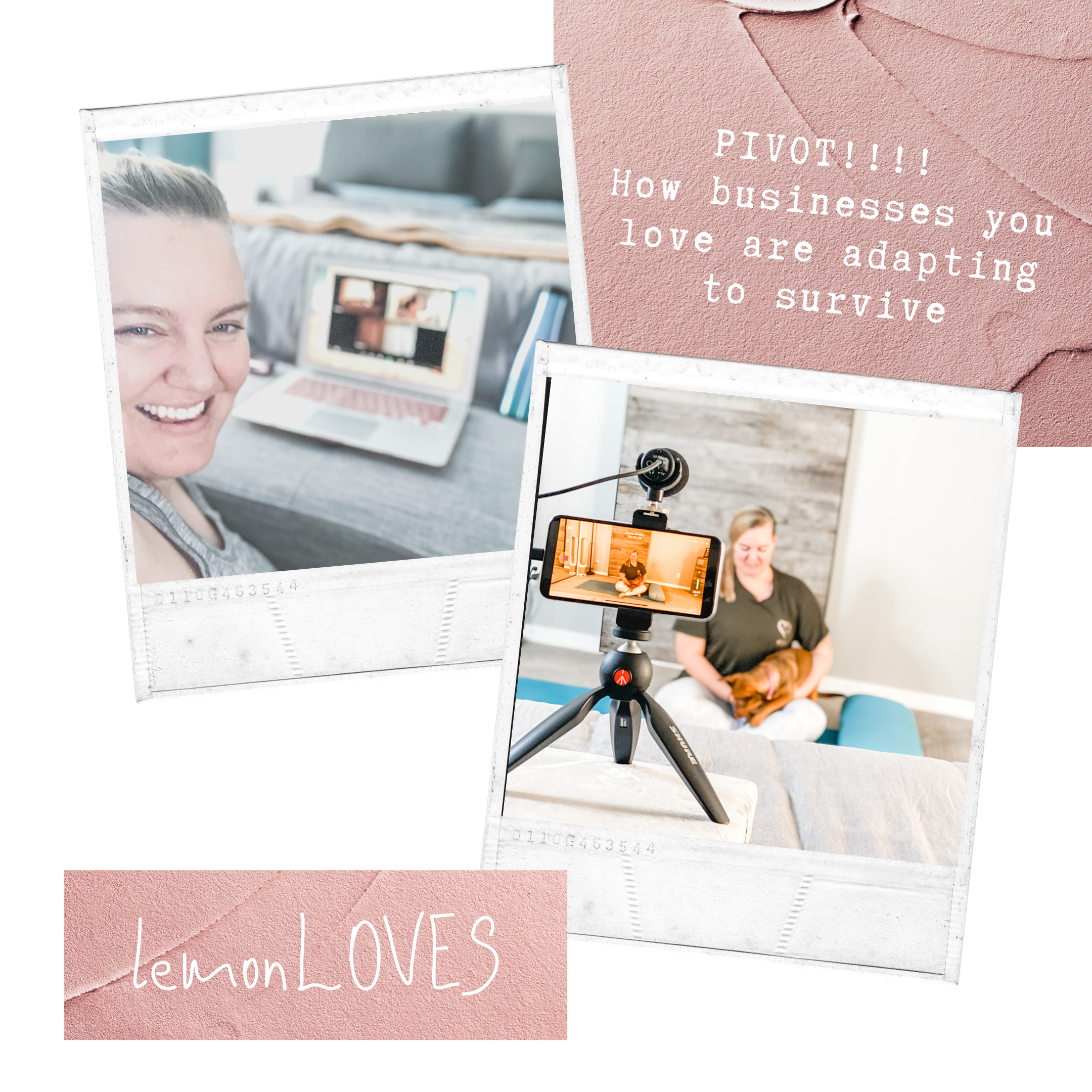 PIVOT! how businesses you love are adapting to survive —and thrive! — covid19
