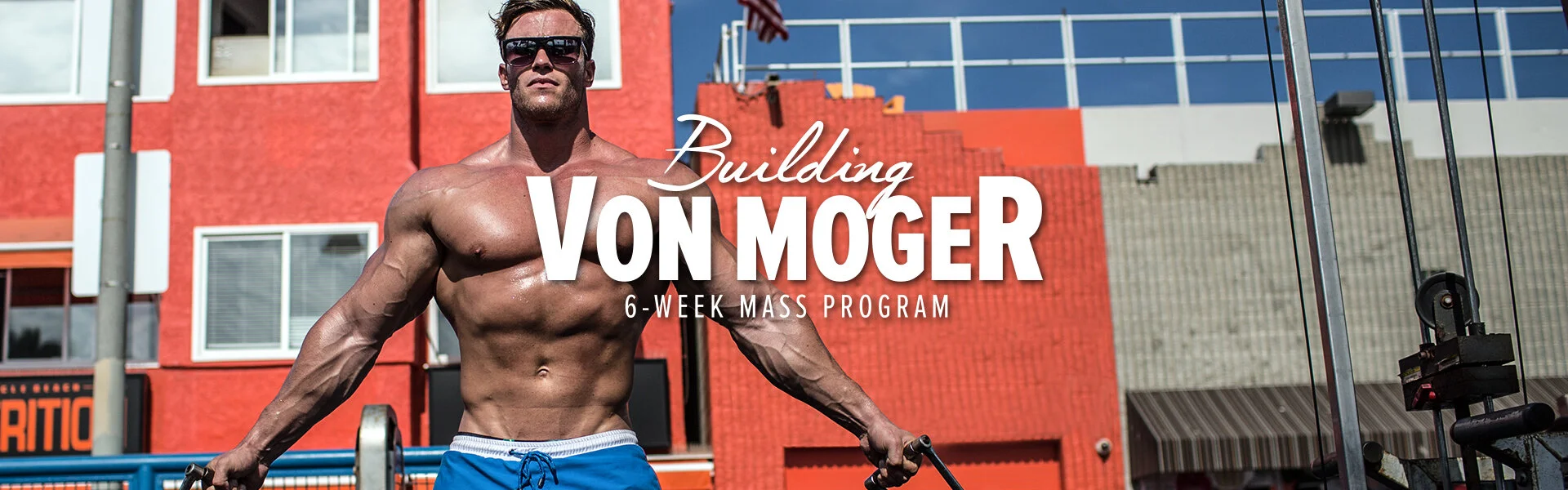 building-von-moger-logo-desktop.jpg