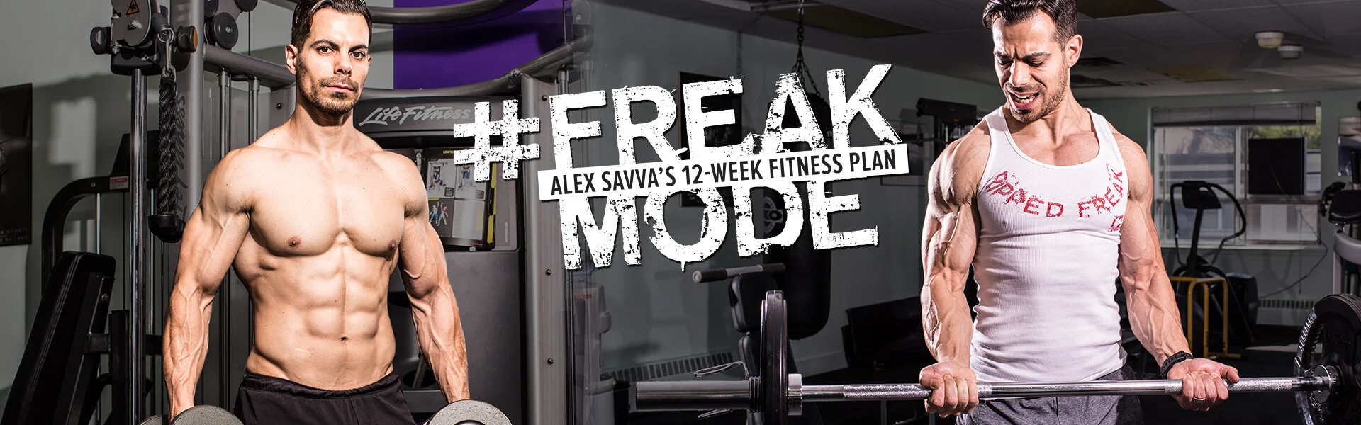 freakmode-logo-desktop.jpg