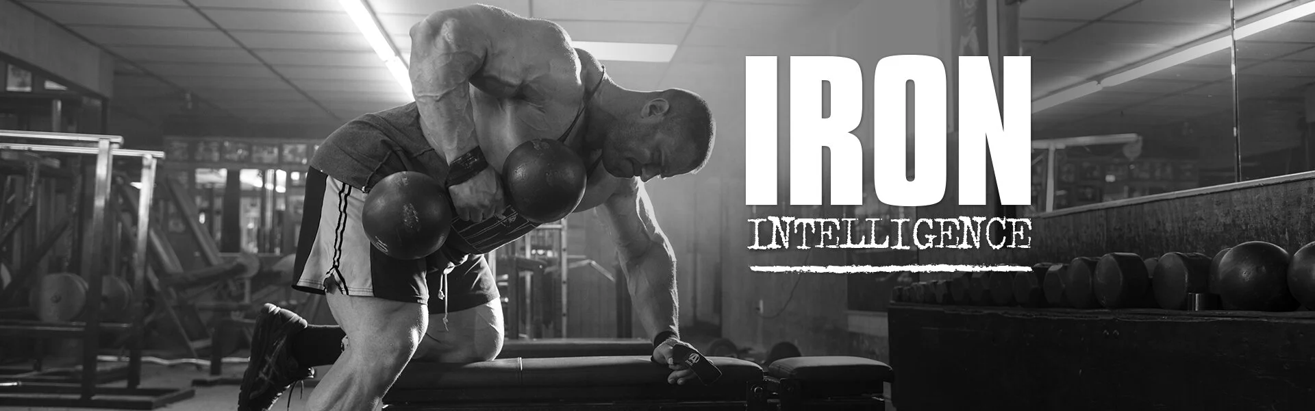 iron-intelligence-logo-desktop.jpg
