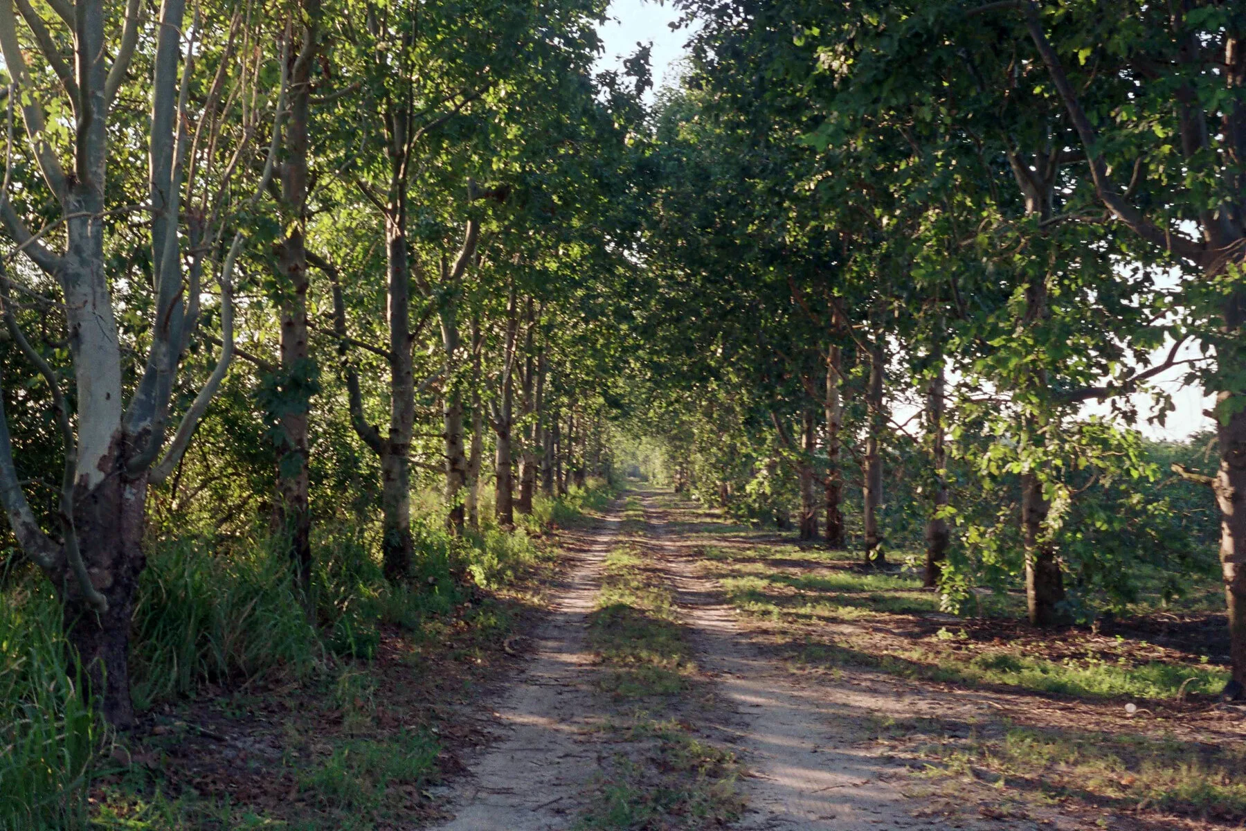 r001-004.jpg