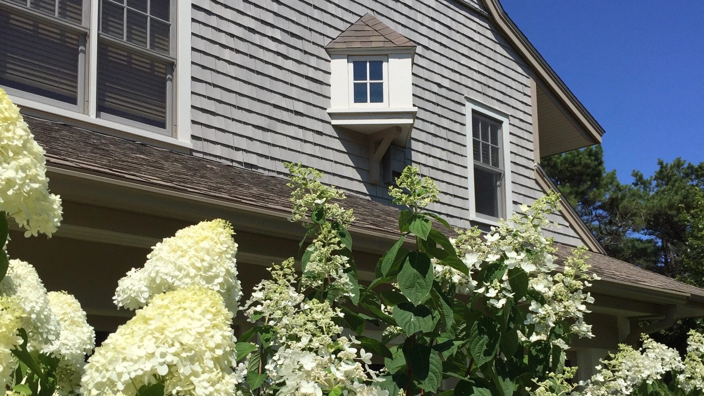 House+hydrangeas.jpg