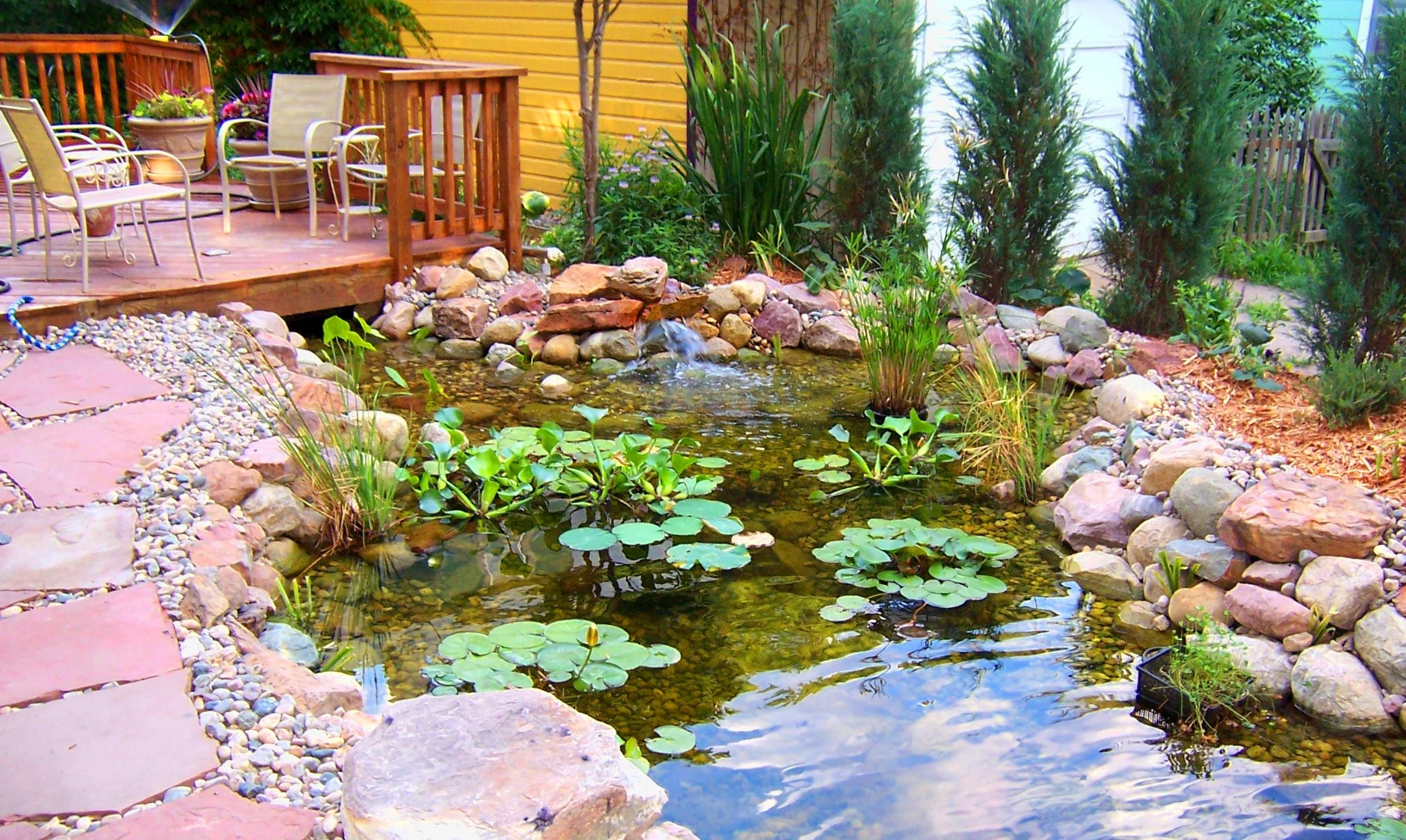 Build a Pond