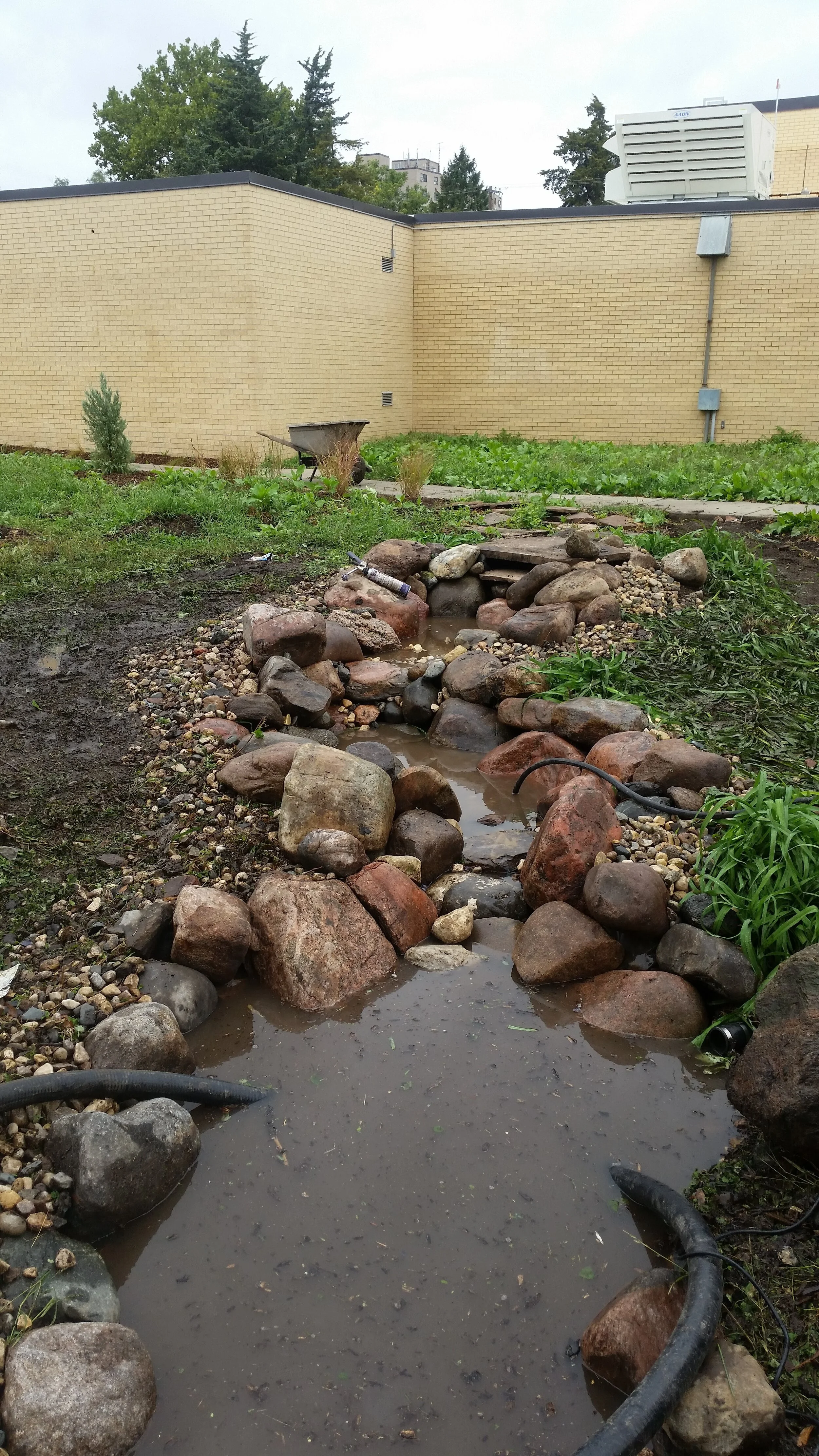 20171003_152856.jpg