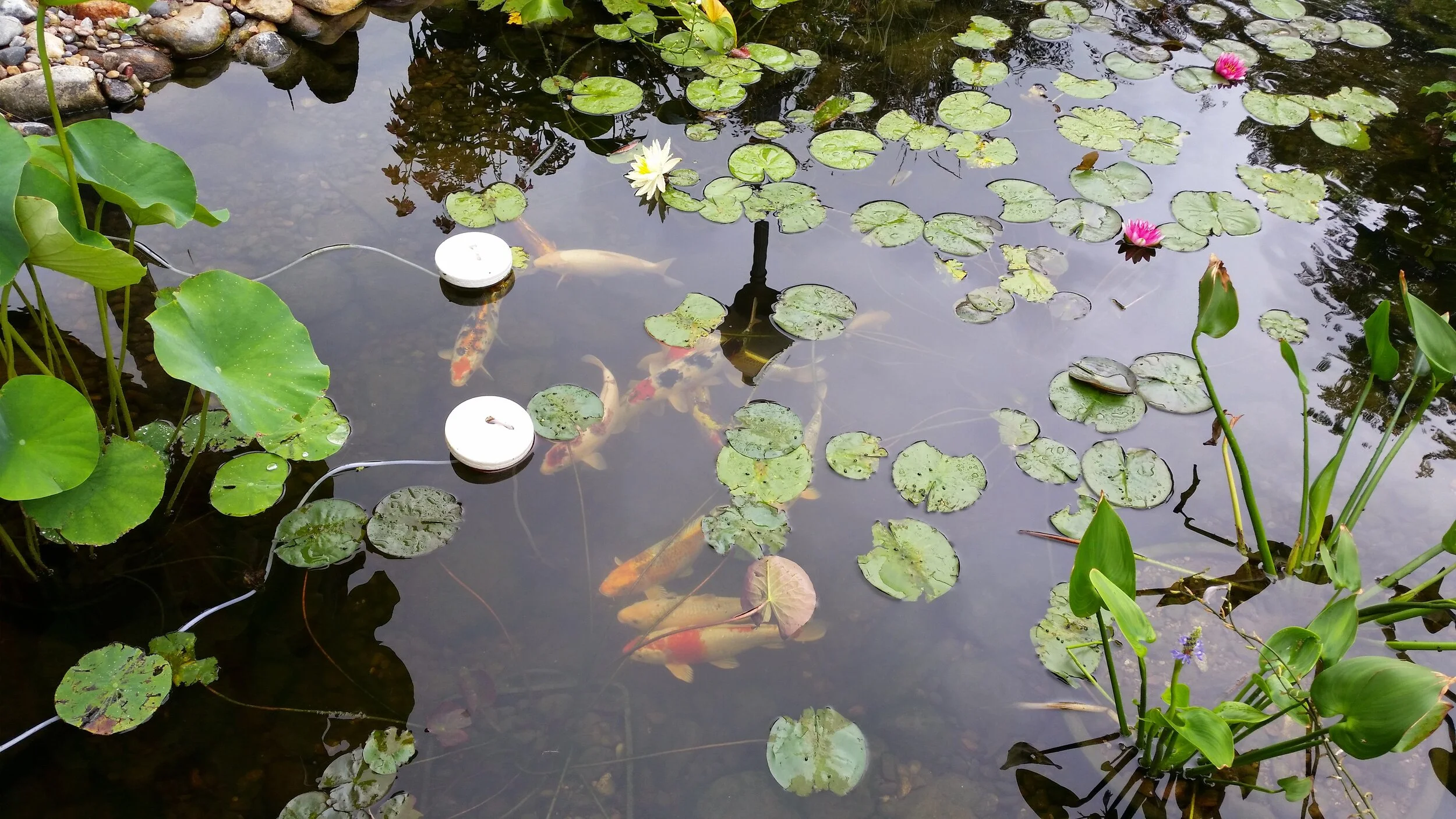20140807_125429.jpg