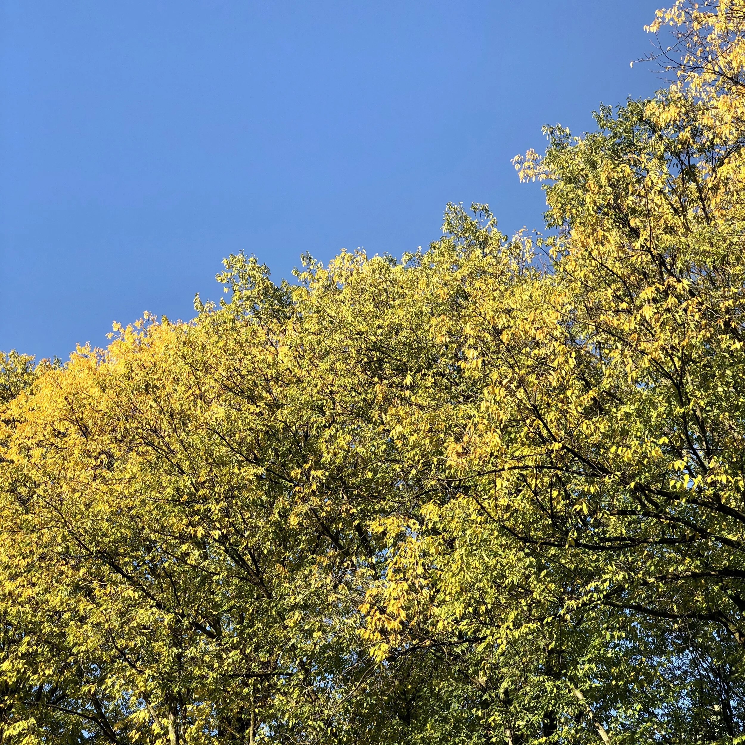 Föreläsning: Du mår som du andas! med Anders Lönedal