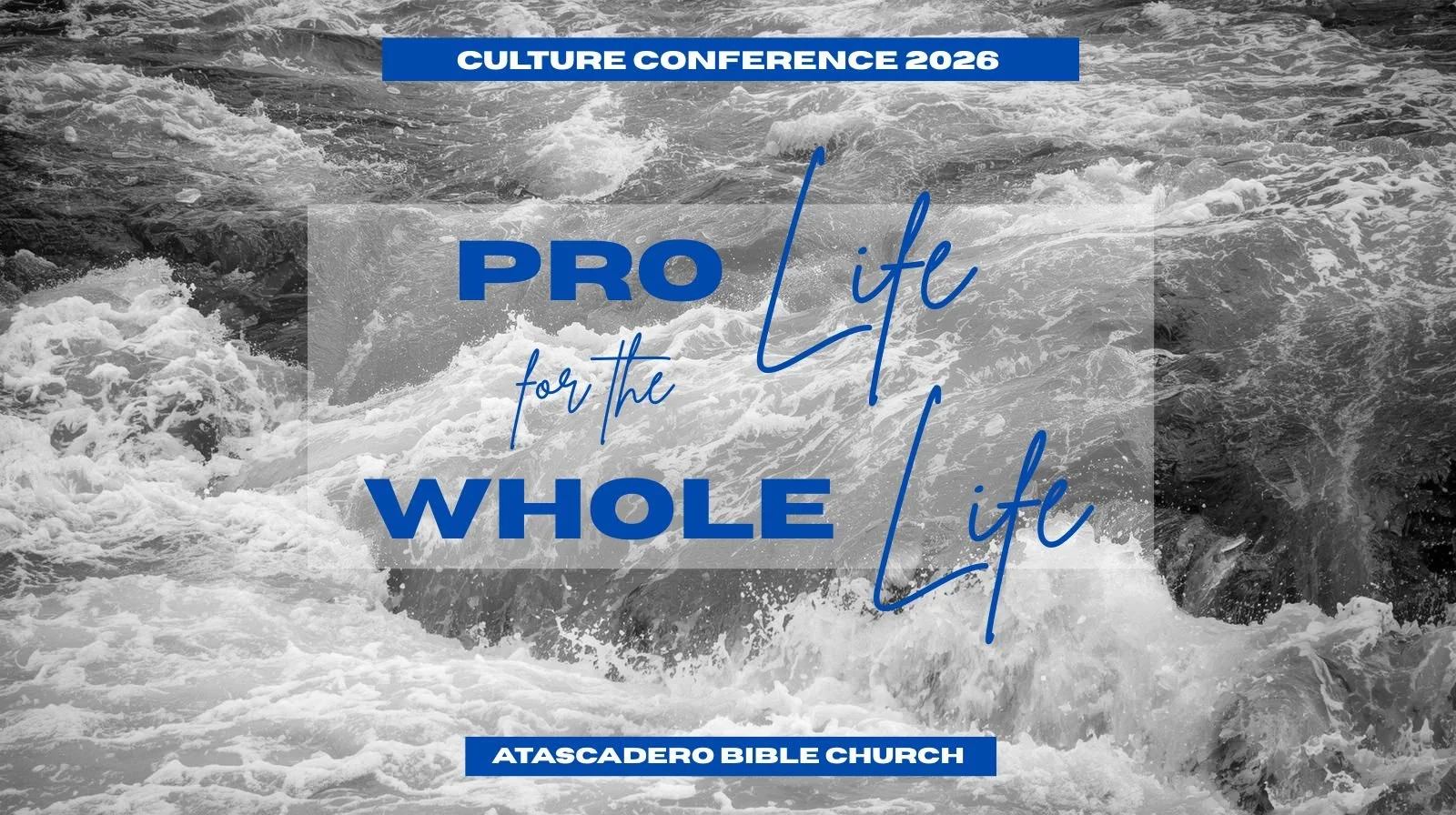 ABC Culture Conference | Pro Life for the Whole Life