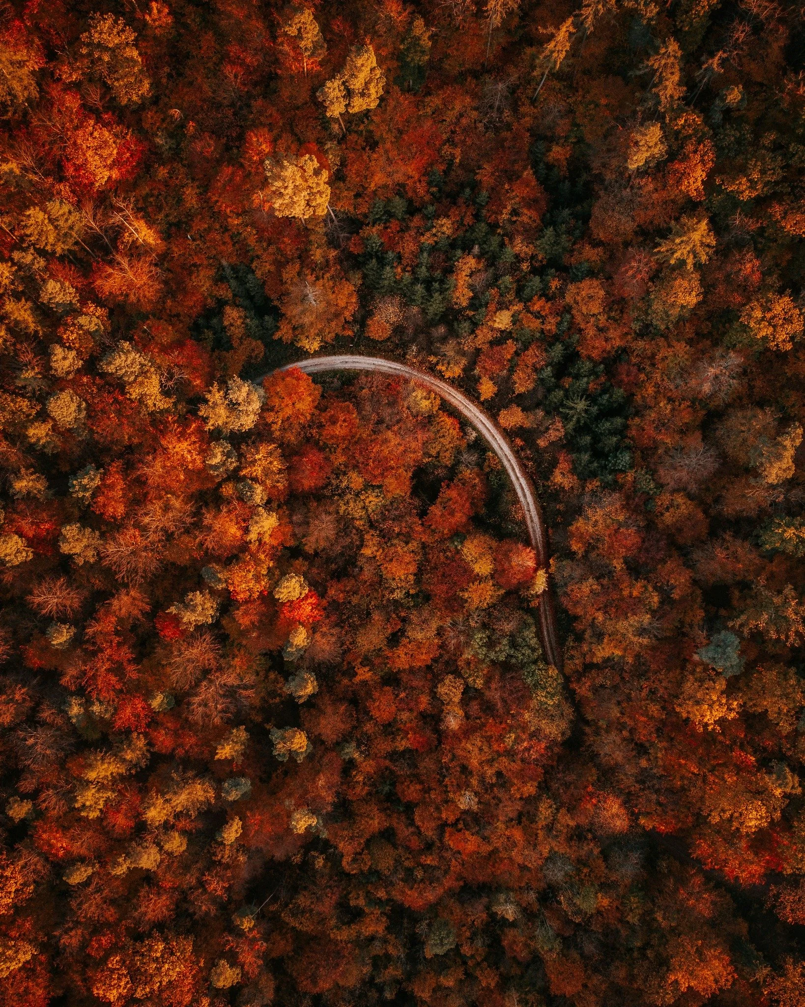 🍁 Fall Leaves Are Beautiful &mdash; But They Can Be Hard on Your Back 🍁

Each year, more than 42,000 people visit the ER for yard-work&ndash;related injuries, according to the U.S. Consumer Product Safety Commission.

Cleaning gutters, raking, and 