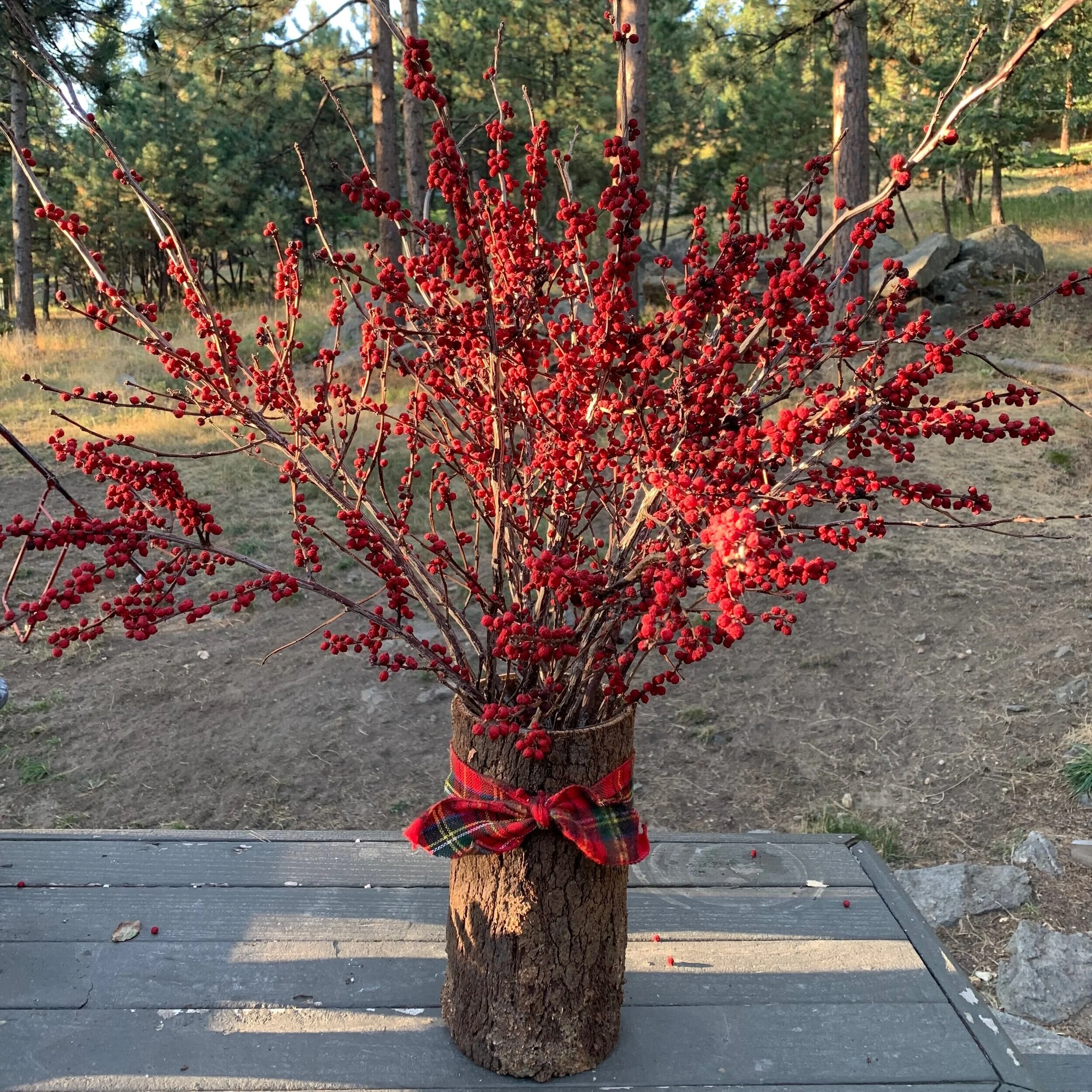 Berries+in+Bark+2.jpg