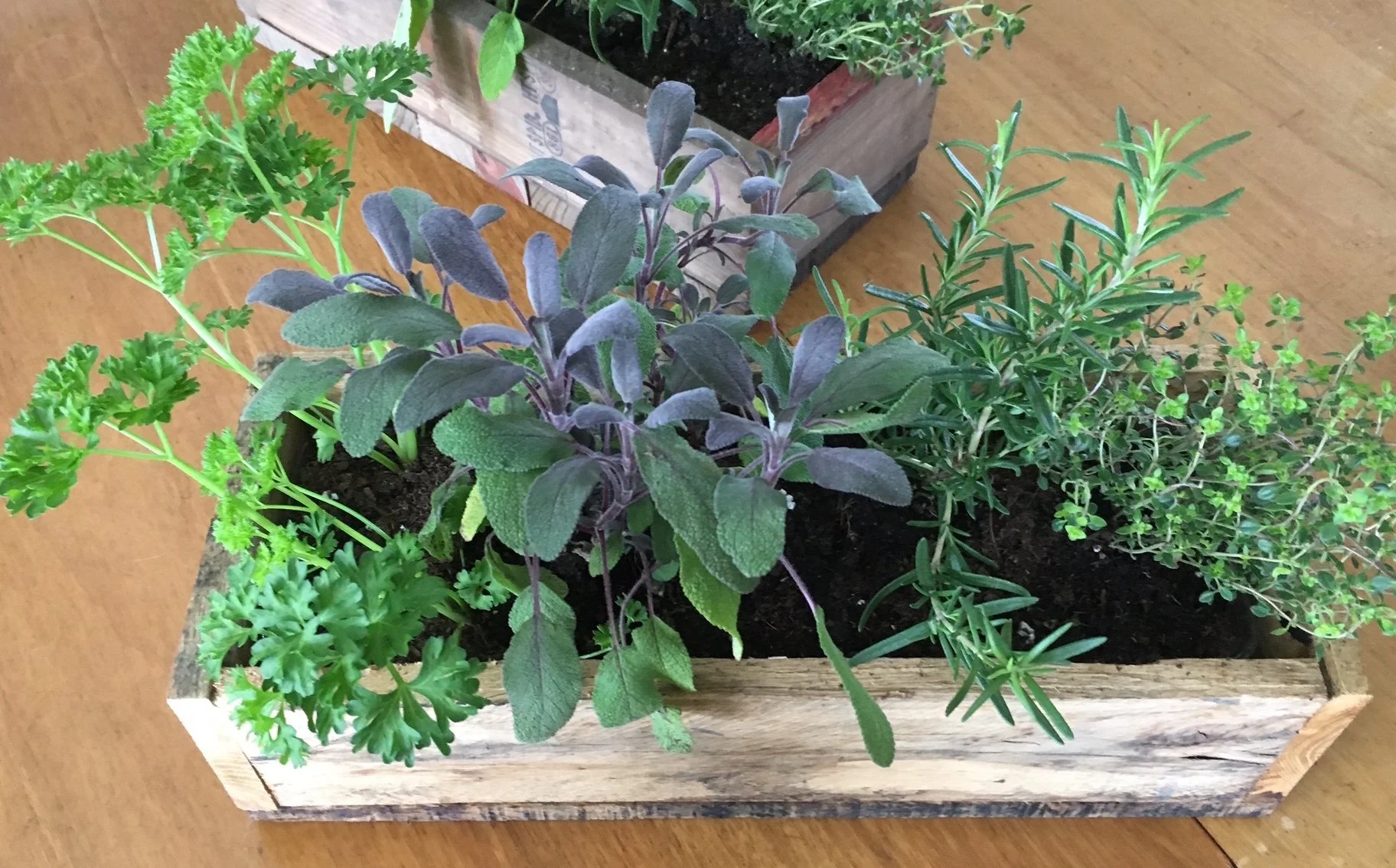 Barnwood Box Herb Garden