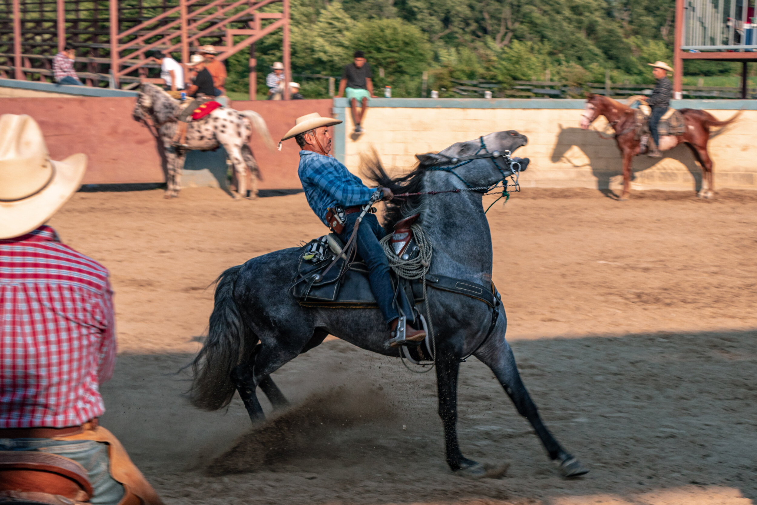 IMG_1064.jpg