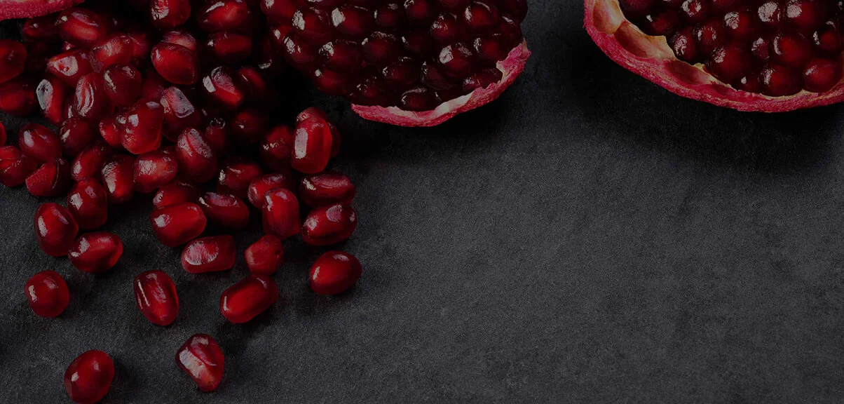 Header-Image-5.jpg