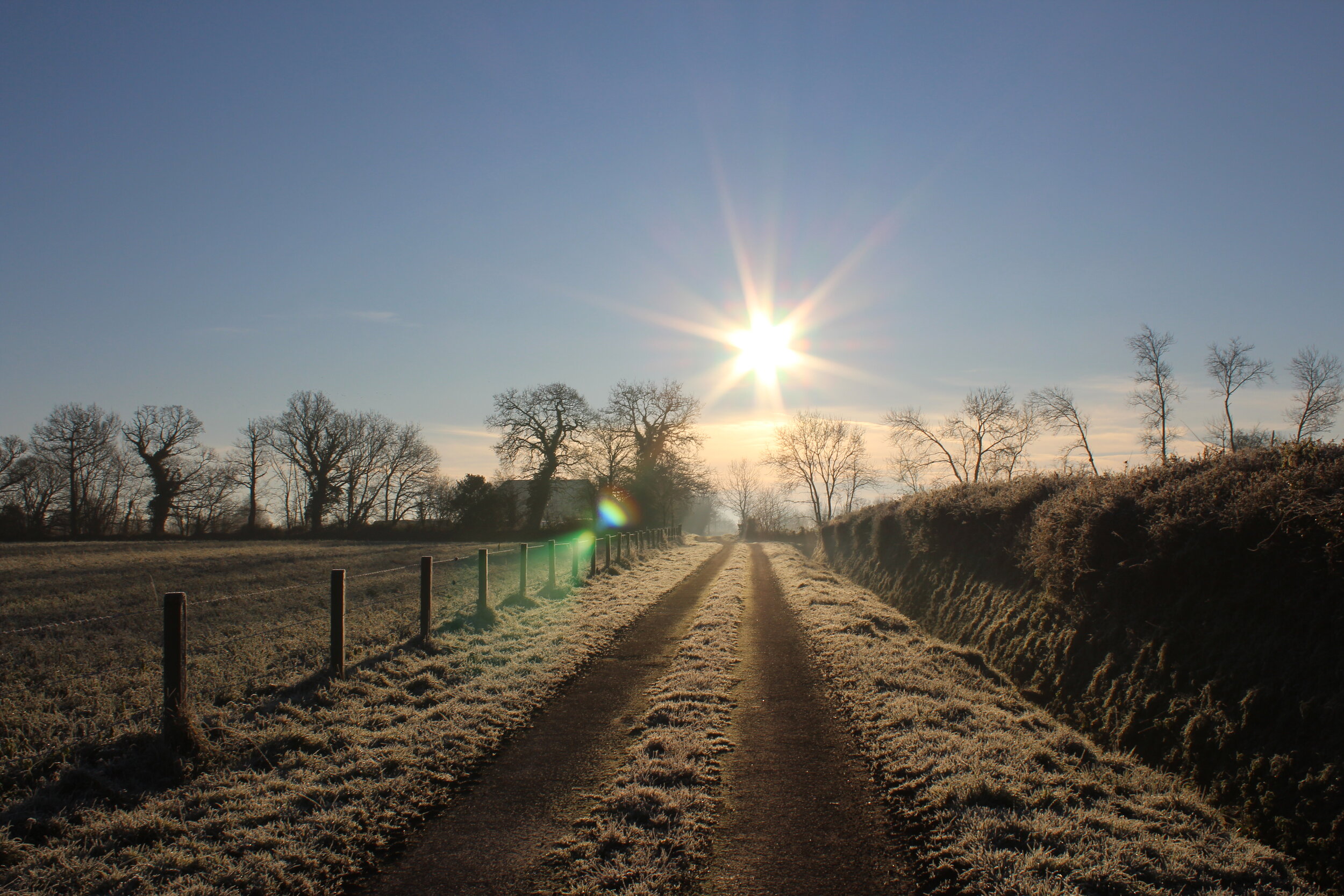 Sunrise at New Year.JPG