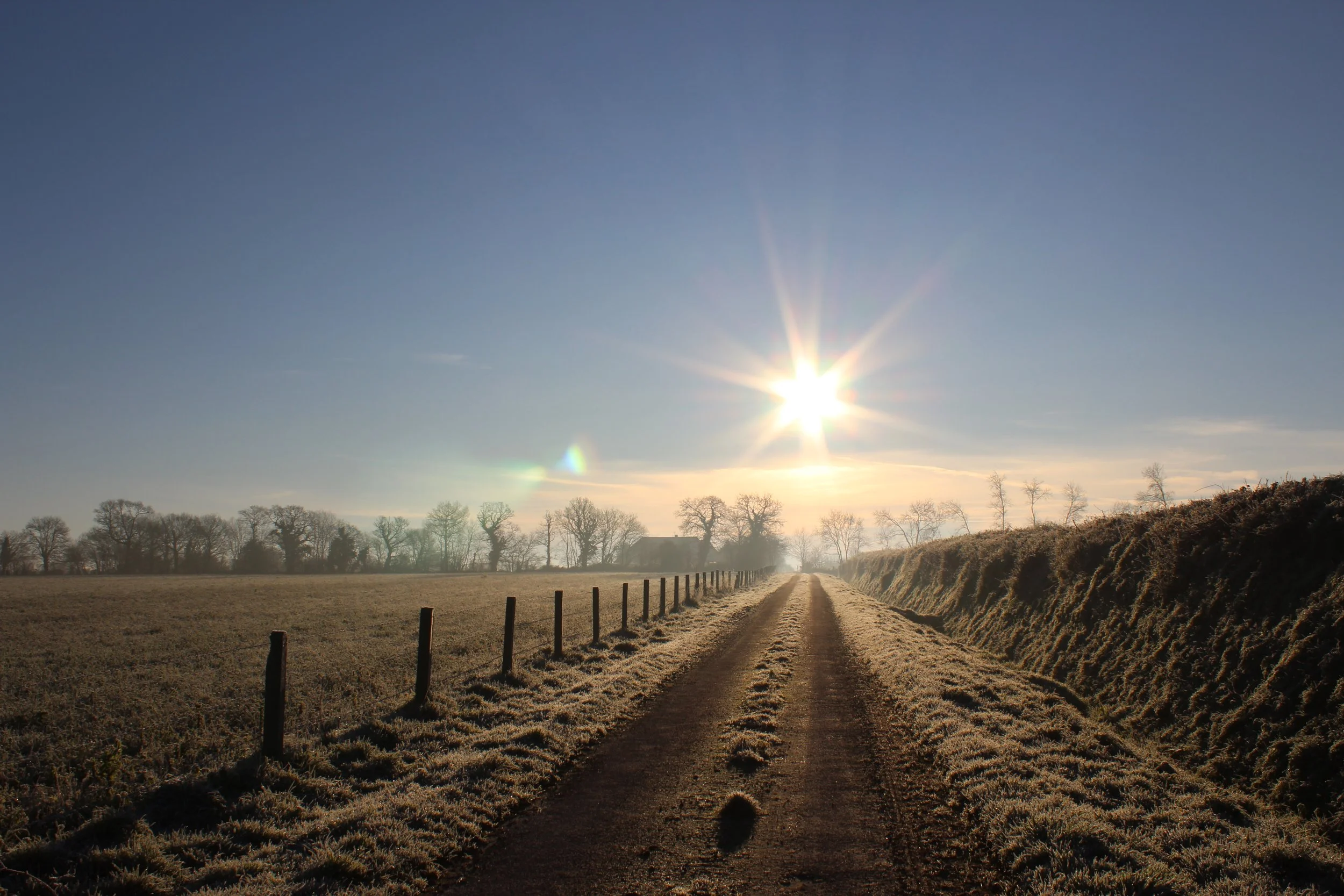 New Years Morning - Le Clos Castel.JPG