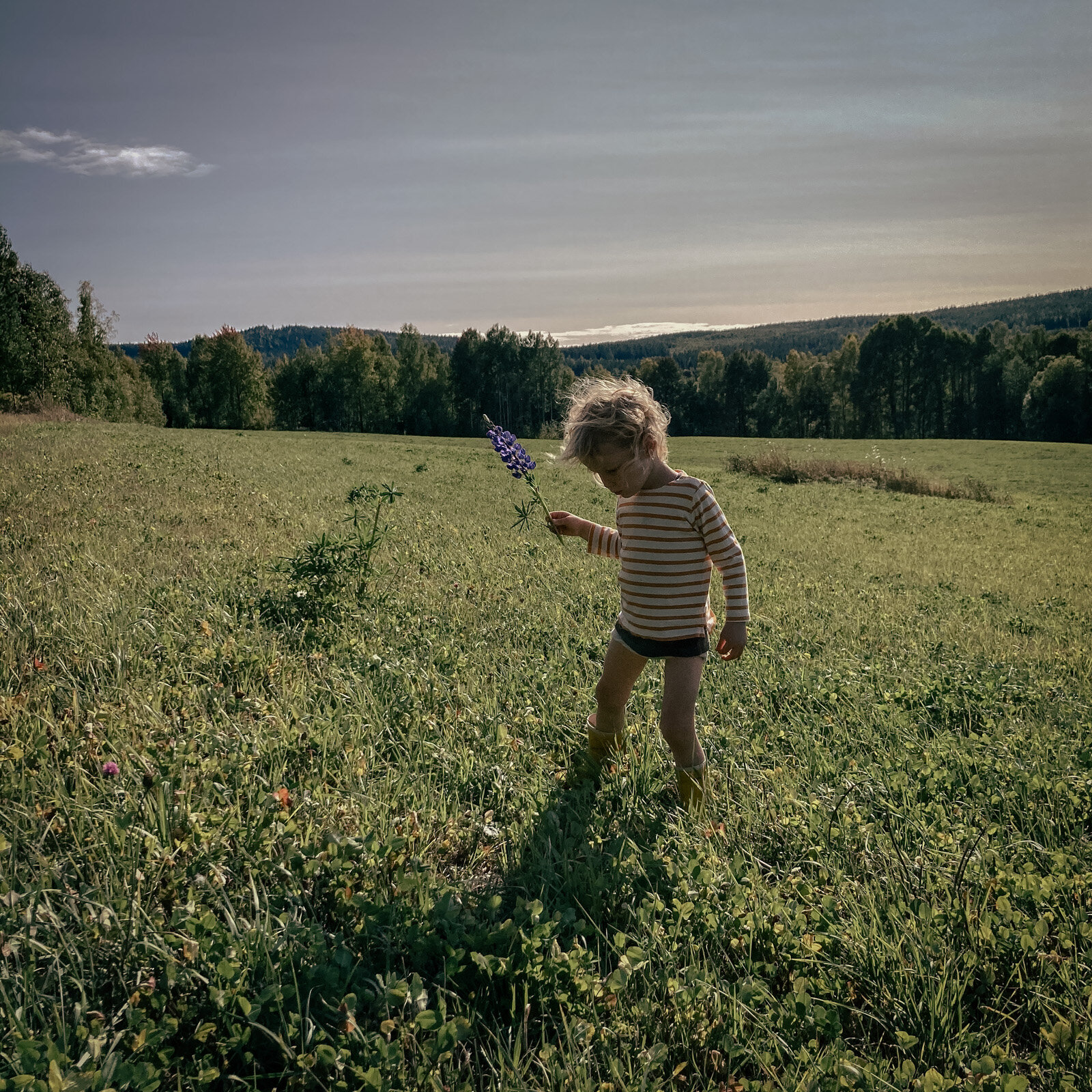 A late new-year resolution for the coming summer: enjoying the most of it! Seize it! Slow your head down and watch your little ones explore. Cheers from a dreary pre-spring day! 🔥🌞🌱

#chooselife #slowtravel #stillebensweden #mittg&auml;strikland #