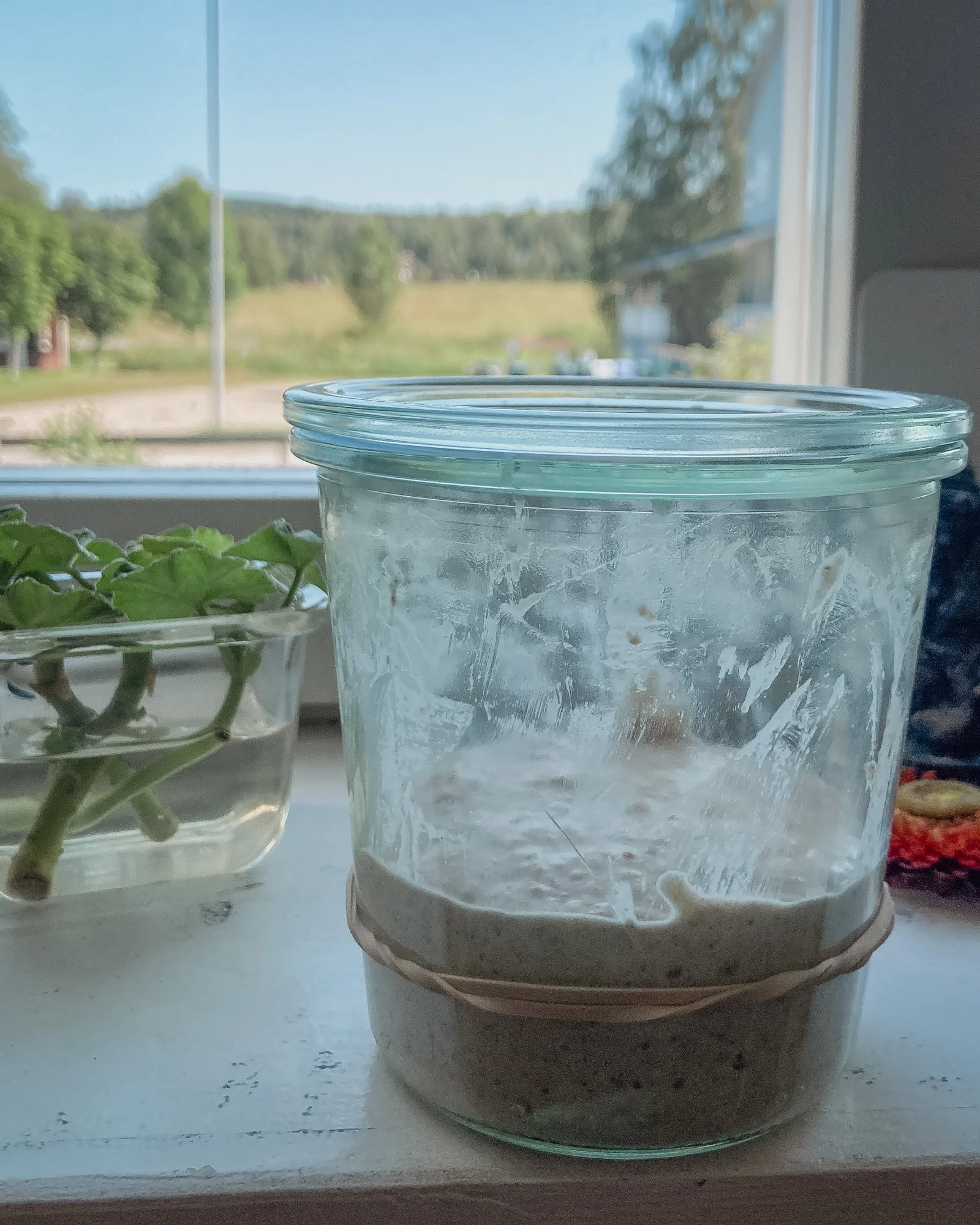 This is an important family member here: our sourdough starter. We haven't given him/her a name yet, but we should! It is the source of our homemade bread that we bake each morning.

He even travels with us to Belgium when we visit family! 😅
If you 