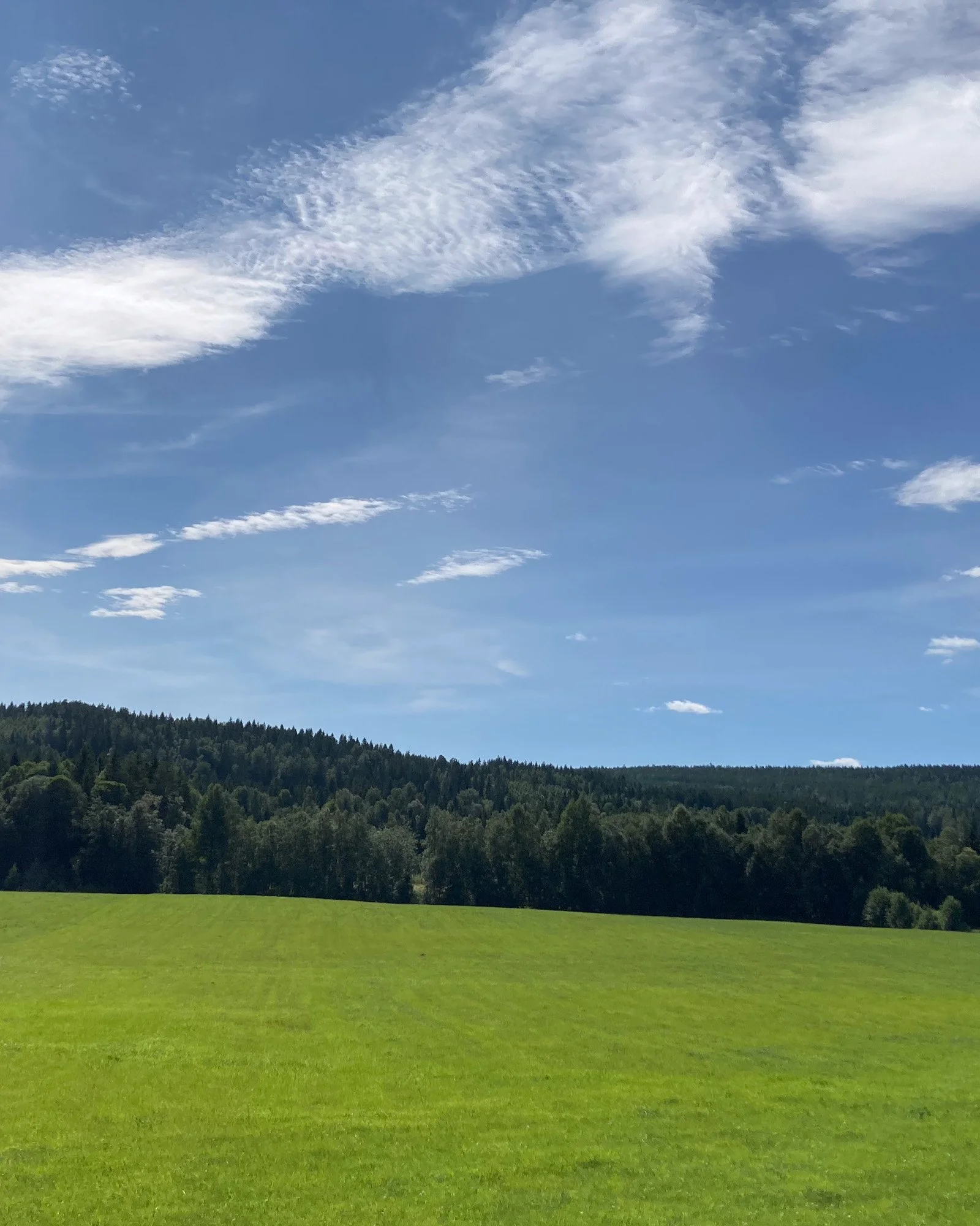 Windows 95 wallpaper, Sweden Edition 😅