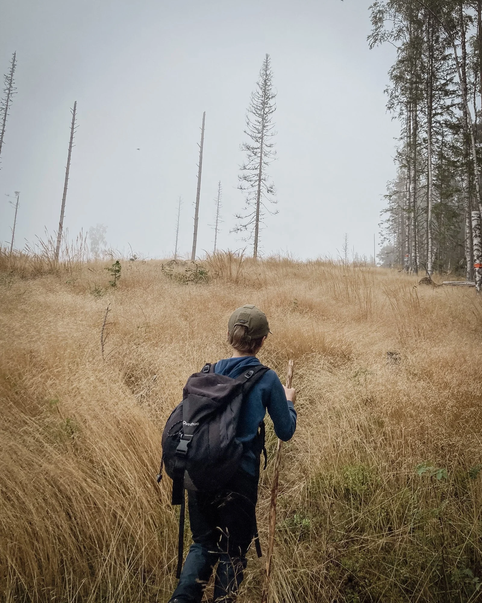 As the last guests checked out, Robin and Luka took the time to hike the new stretch of the &quot;G&auml;strike Triangel&quot;, which is a brand new 3-day hike between Ockelbo, our village &Aring;mot and the nearby J&auml;dra&aring;s. It is a really 