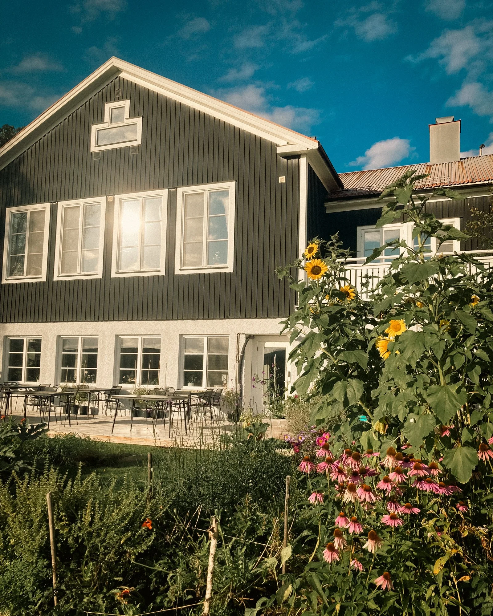 Fine autumn days here in &Aring;mot! (between the occasional rain off course 😅)

 #autumnsun #stillebensweden #slowliving #boutiquehotel
