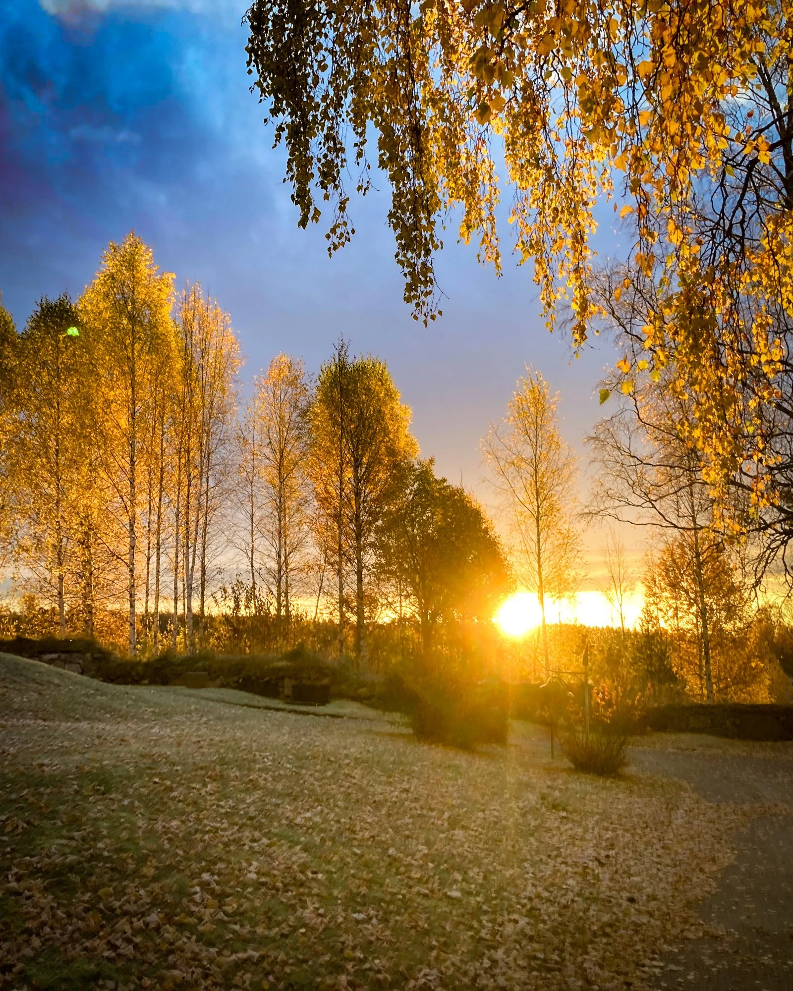 Autumn is in town. Spectacular sunrises and colours... 
Life is good! 🔥😄🍂
 #autumnisbest #seasonschange #stillebensweden #slowliving #boutiquehotel