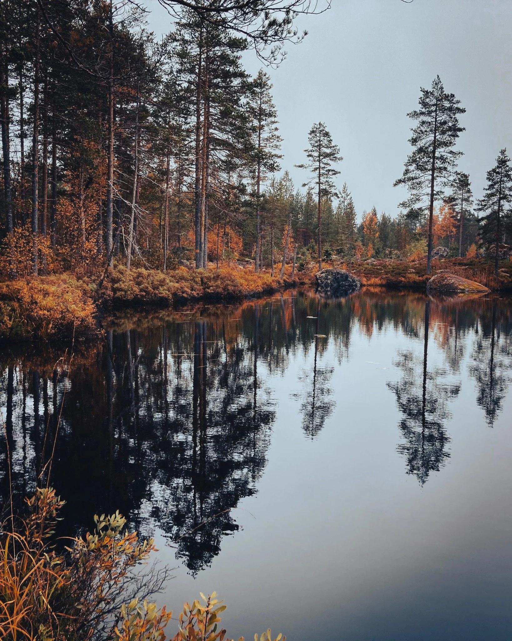 The autumn brings fog in the forests... pure magic!
Going out hiking in this season rewards you with a spectacular atmosphere. We are amongst trolls and fairies now! 😄🍂🤫🔥
 #seasonschange #slowliving #autumnisbest #stillebensweden #slowtravel