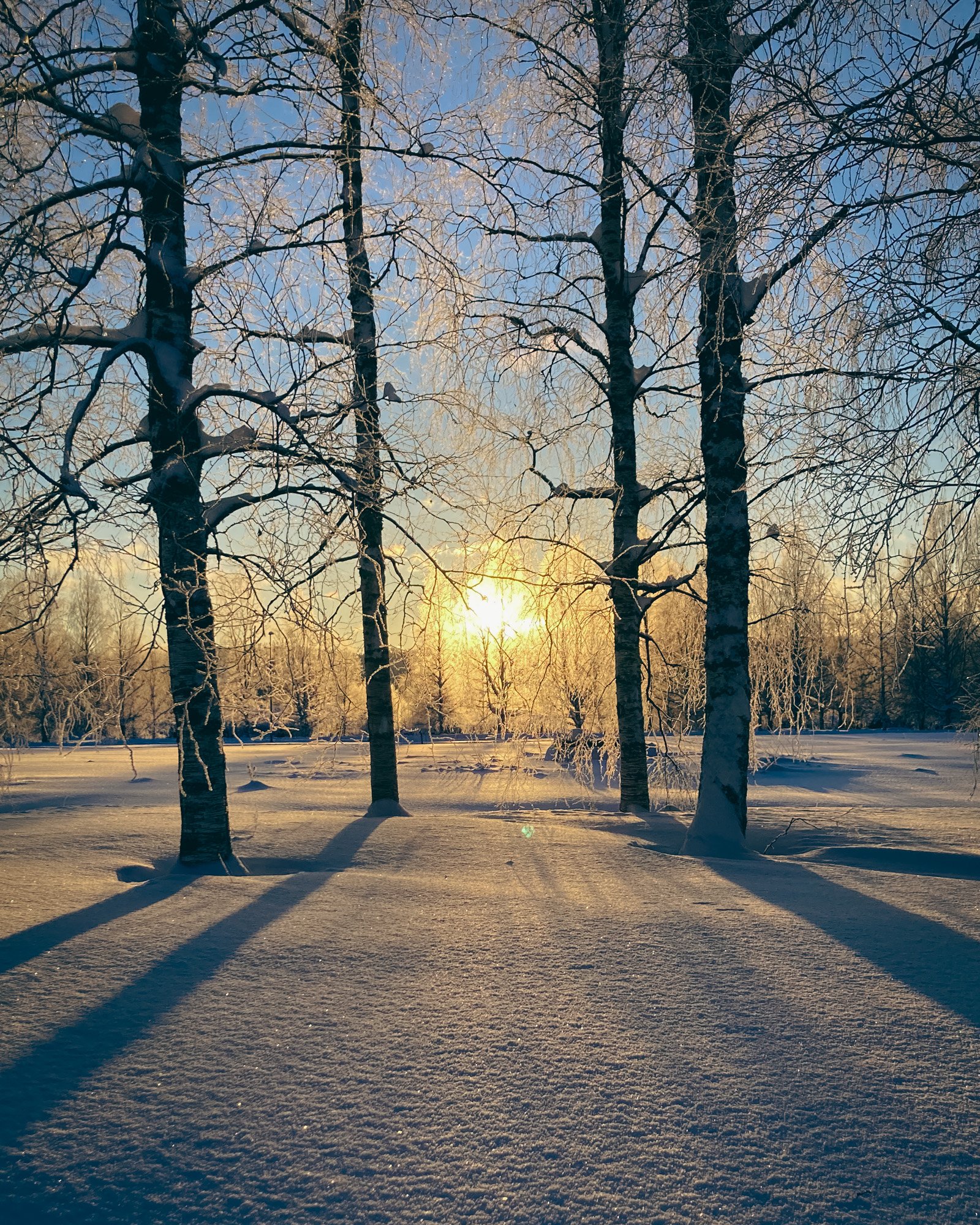 The nice thing about cross country skiing is that you can look around and enjoy the winter landscape and be amazed by the spectacular views and colours of the winter!

 #stillebensweden #slowliving #winter #boutiquehotel #slowtravel