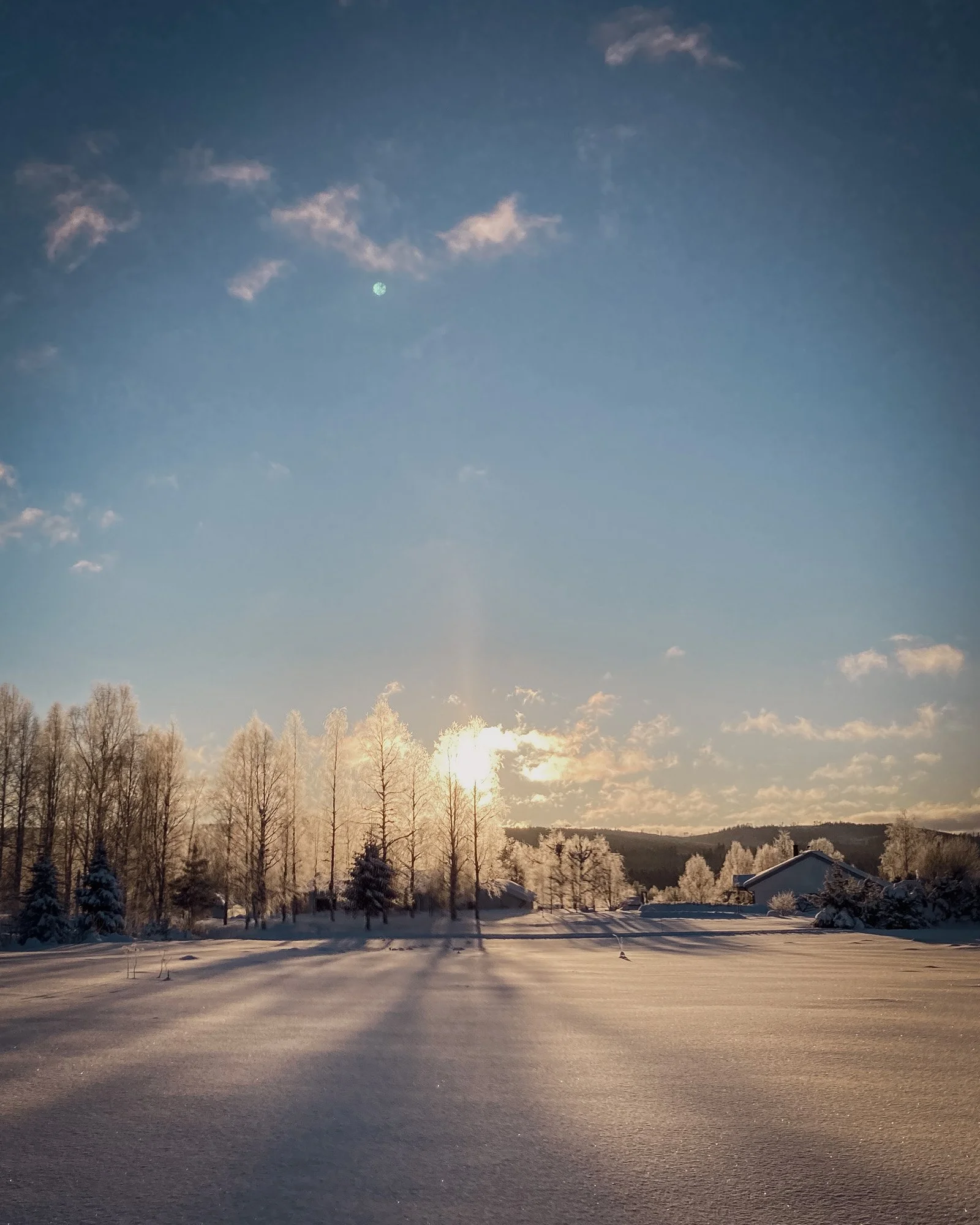 Winter sun...

 #winter #slowliving #winterwalks