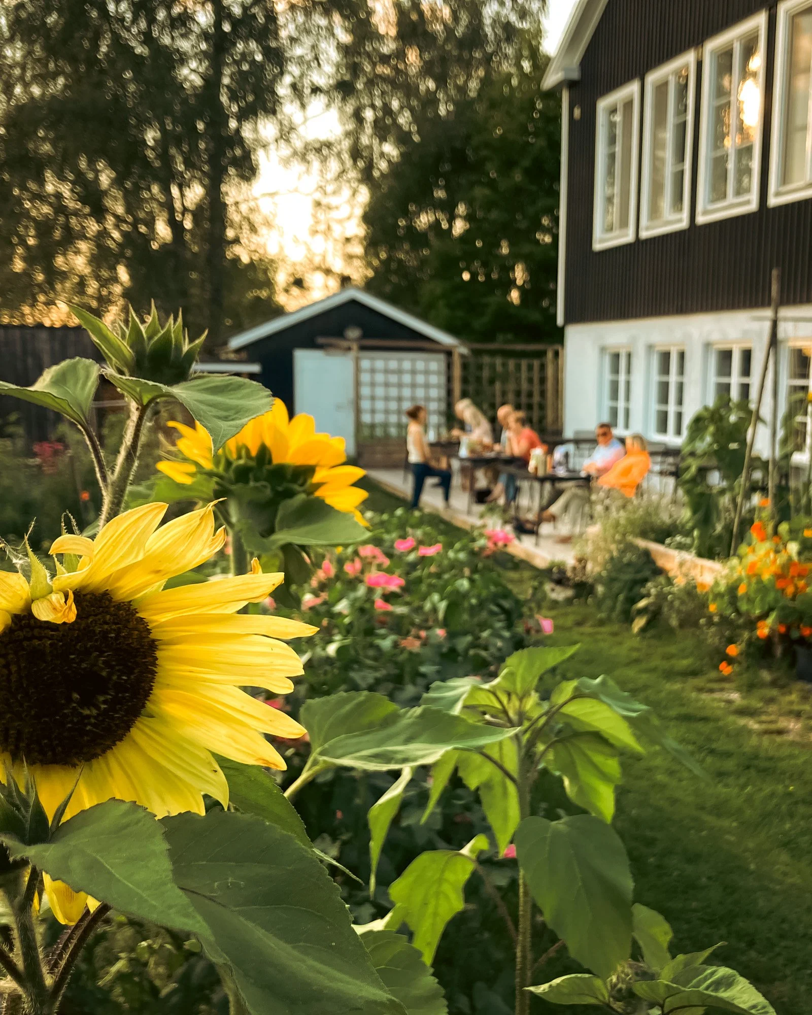 Soon, there will be laughter and good food on the Stilleben terrace again!
Stilleben is open from May this summer season. Welcome!

 #slowtravel #boutiquehotel #Heartwarming #stillebensweden #dinnerwithaview