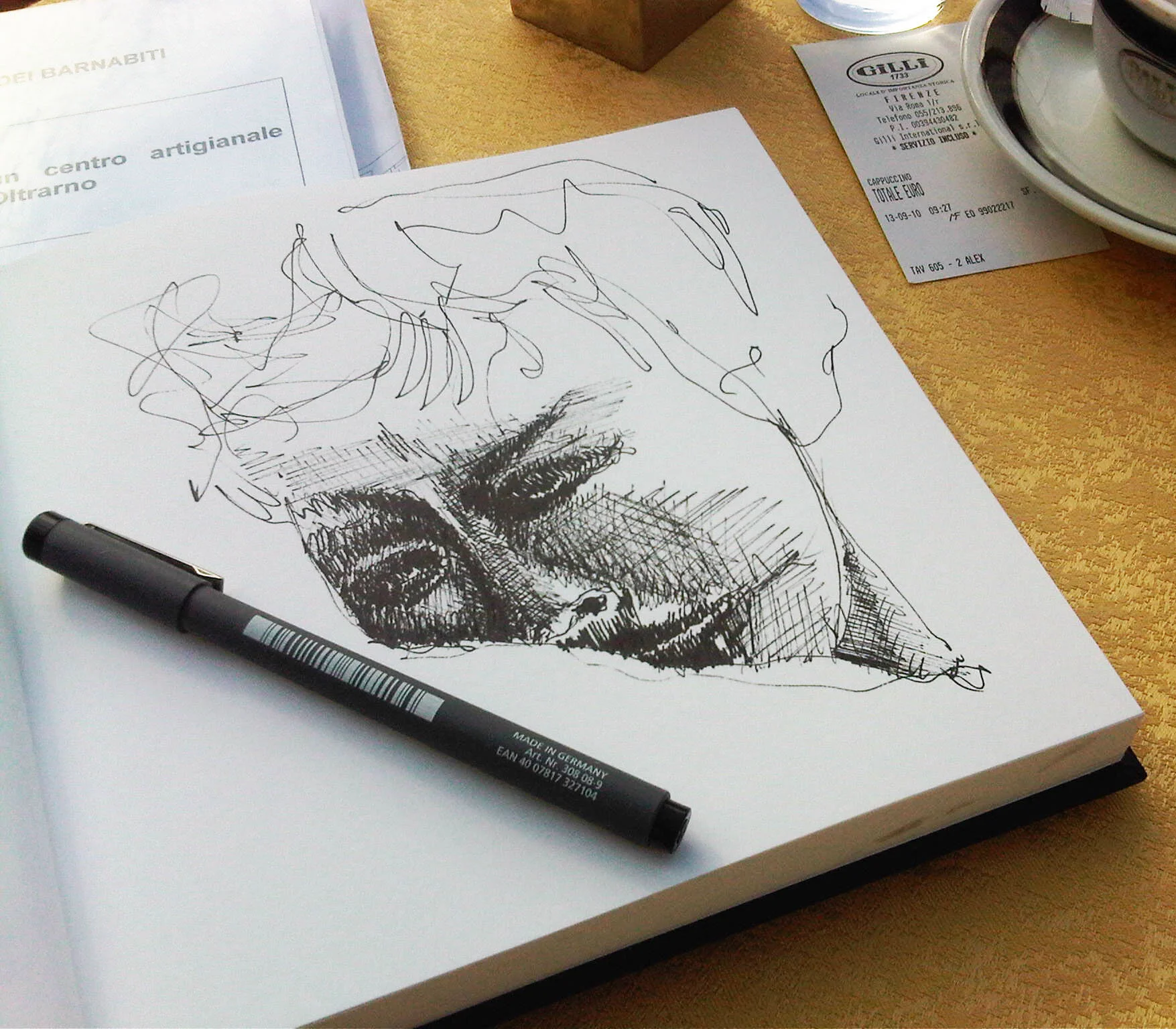 CF Sketch 2.jpg