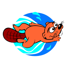 swimgym_beaver_above_right.png