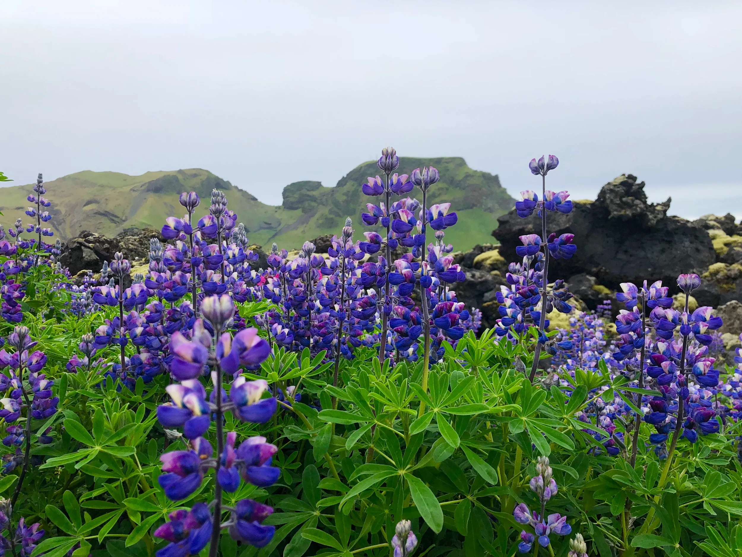 Исландия. Июль, 2017.