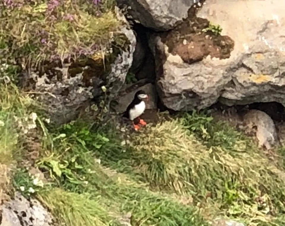 Iceland. July 2018. Pictures