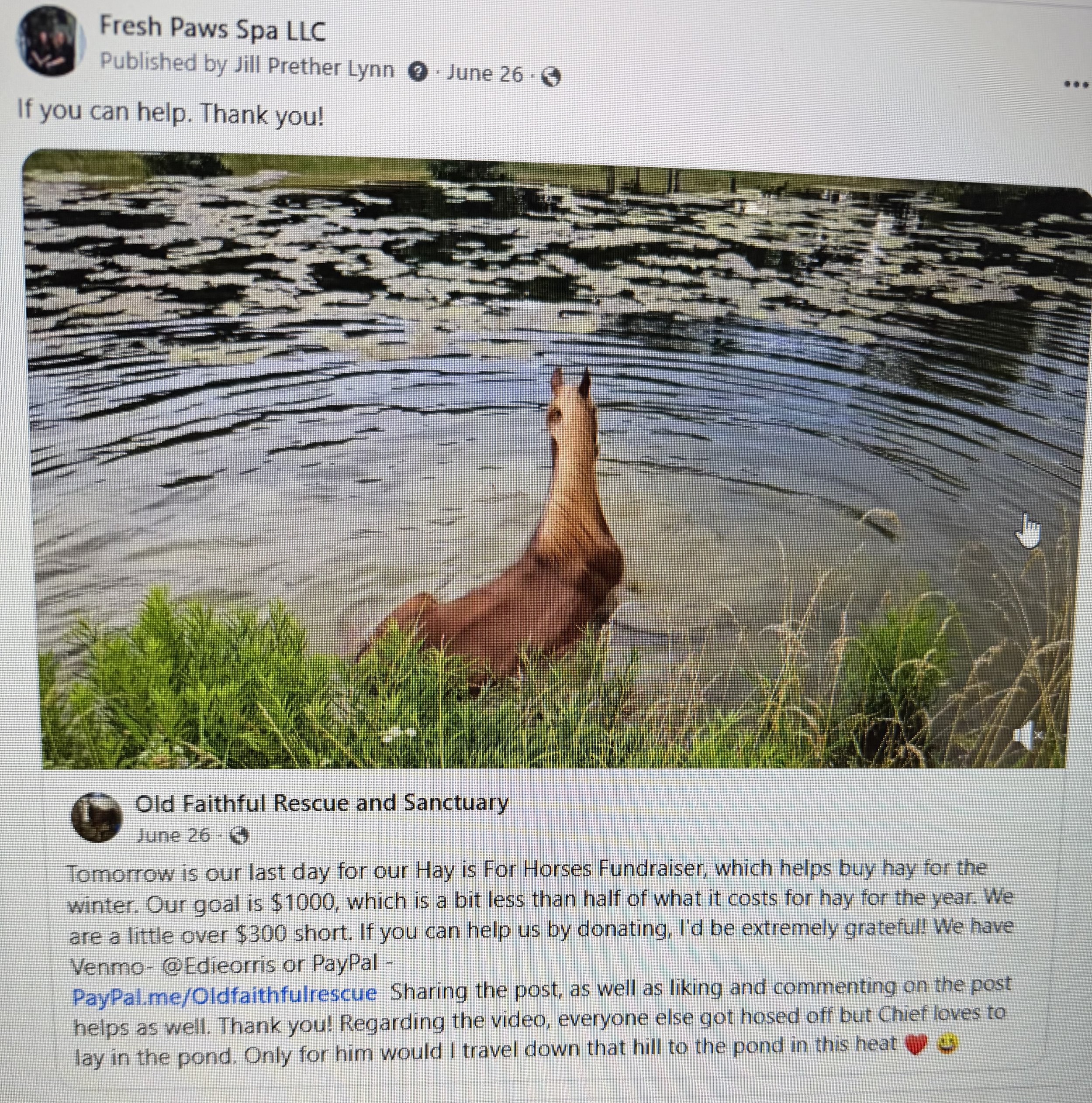 Old Faithful Rescue and Sanctuary