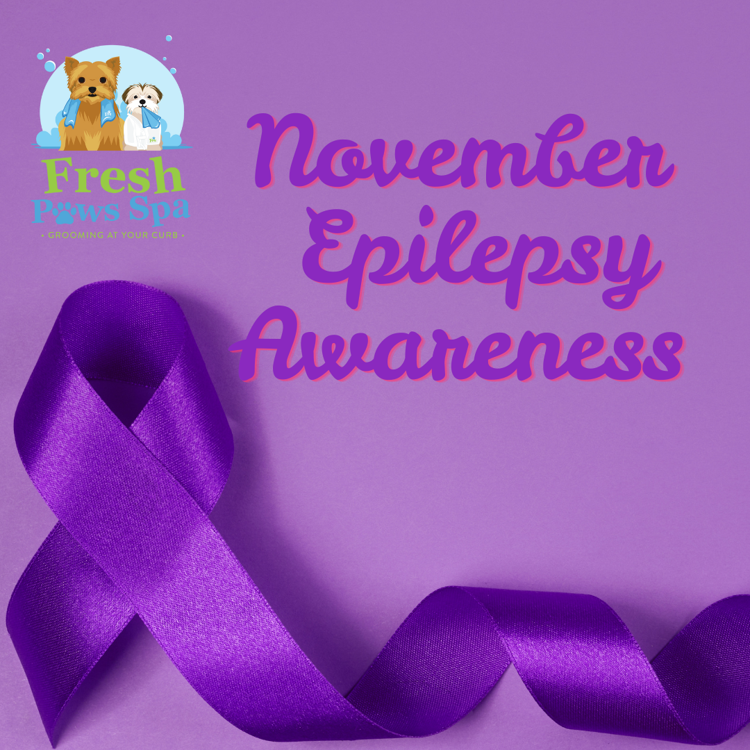 Epilepsy Awareness
