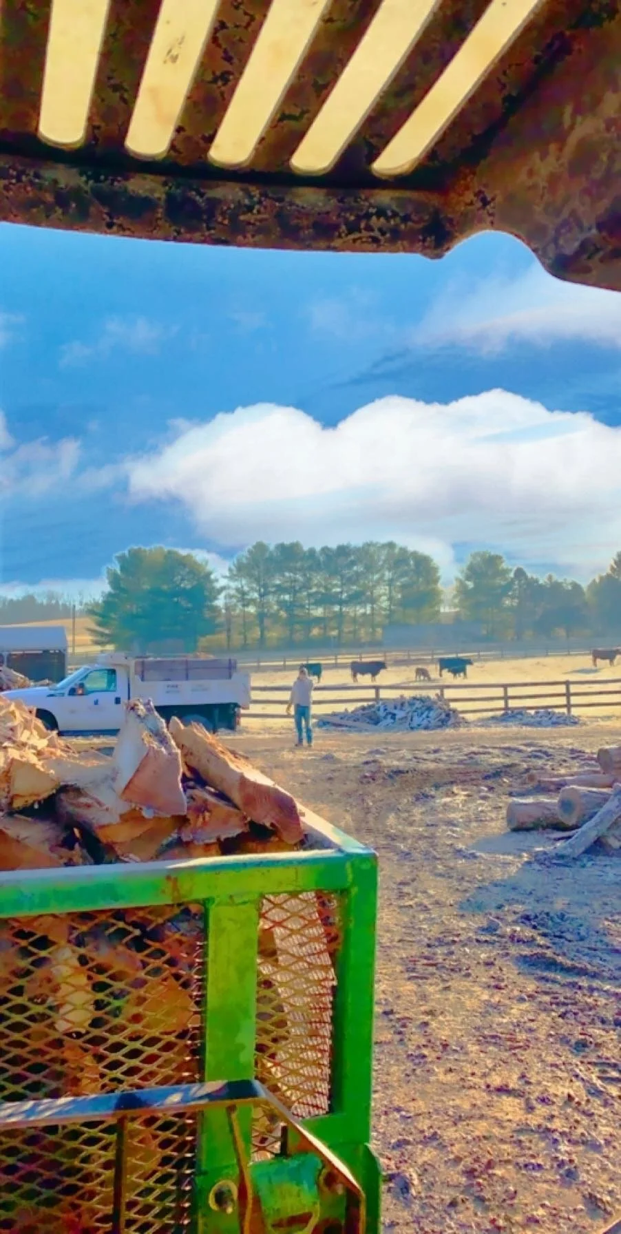 Loading wood.JPG