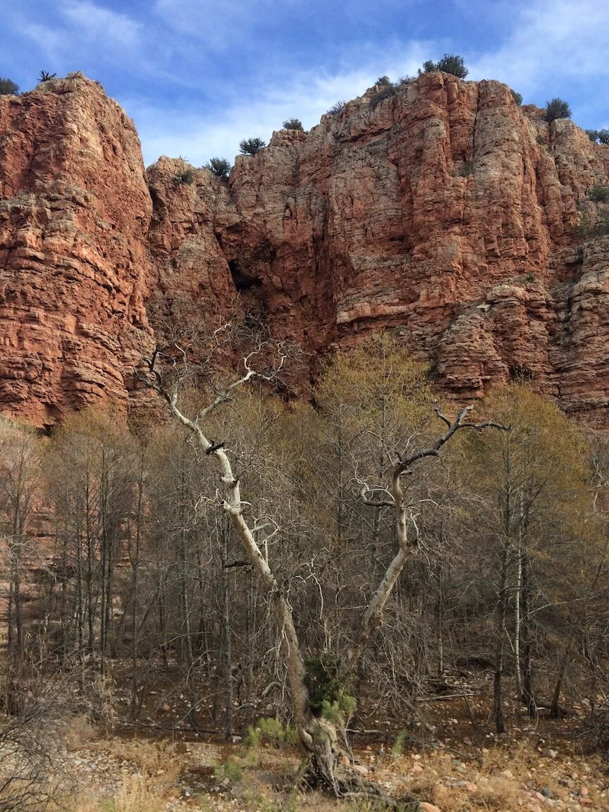 A Type of Homesickness