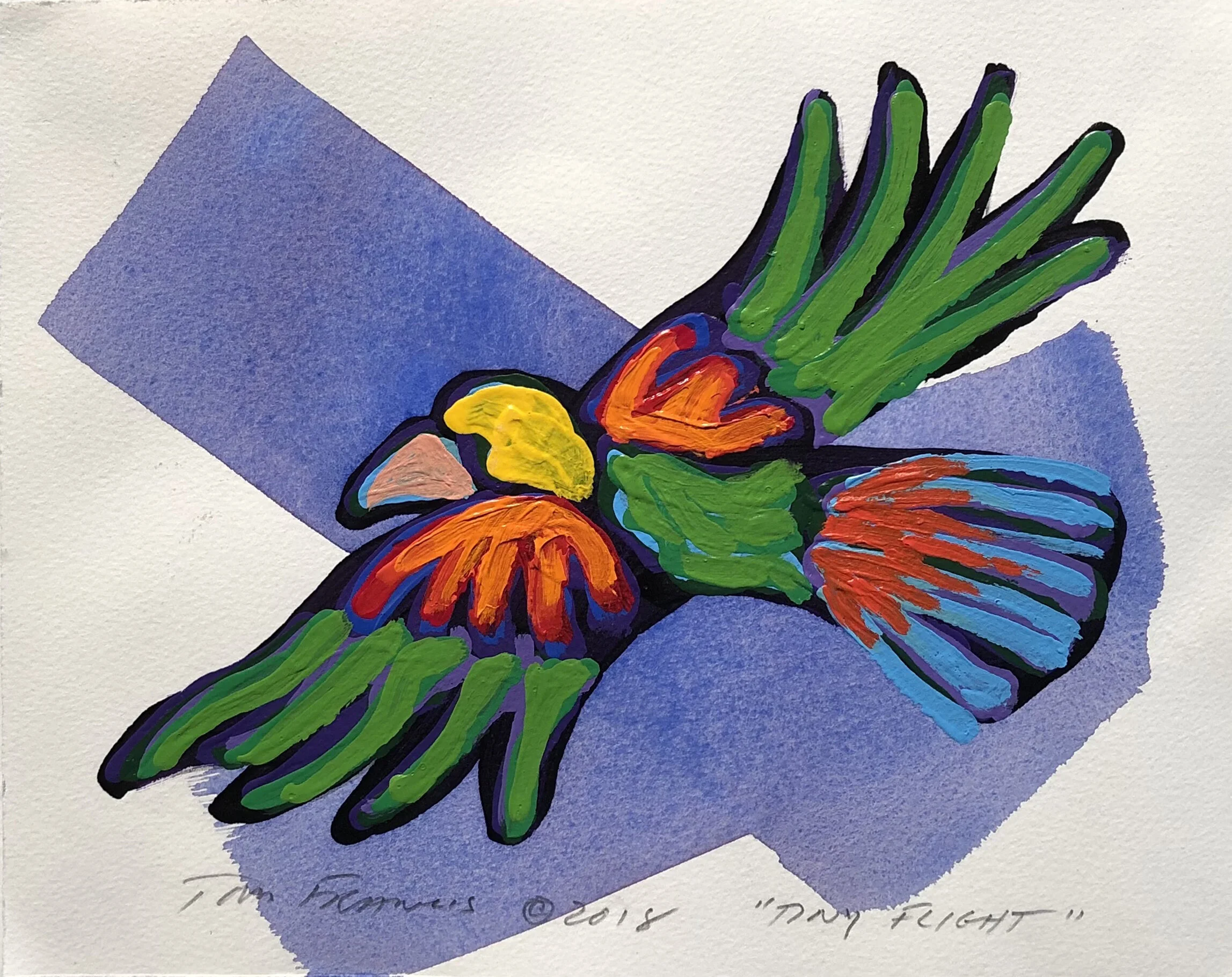 Tiny Flight_2018_TFrancis.JPG