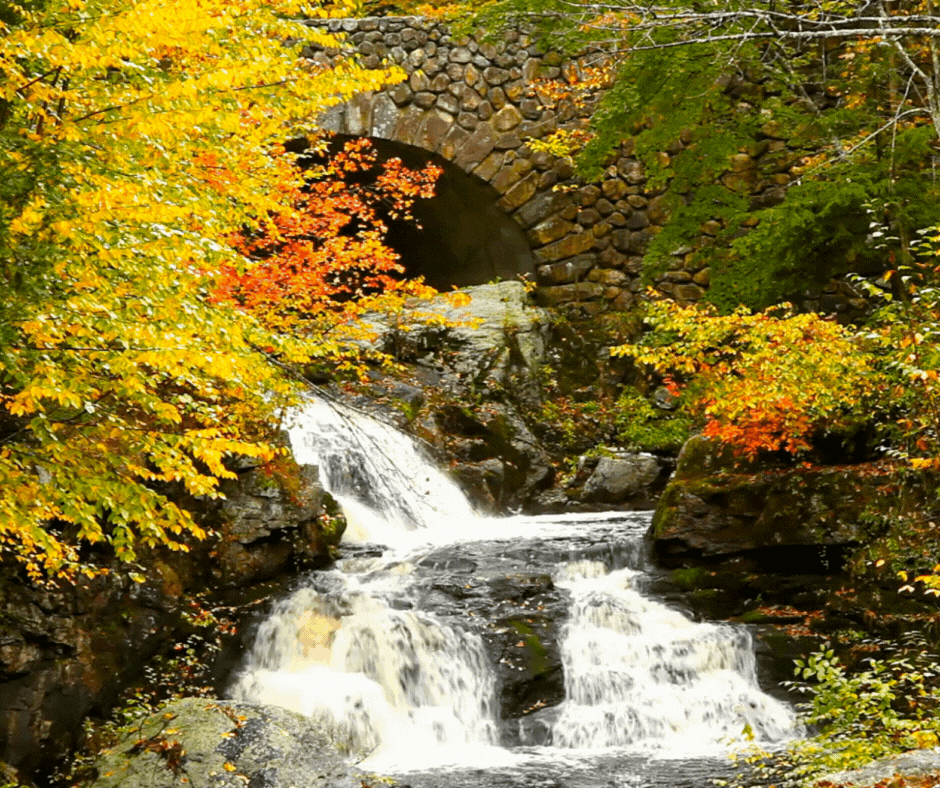 Fall Waterfall (Early).gif