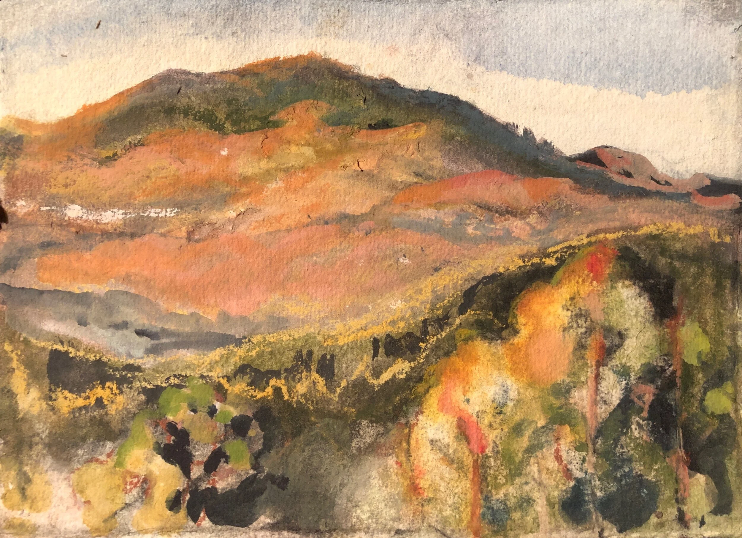 Language and Landscape II.jpeg