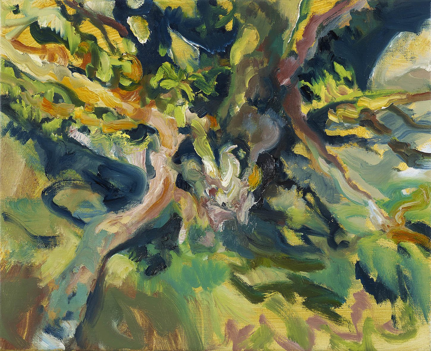2McIntyre_Ancient Oak Supporting an Eco System, Horners Wood_oil_40x50cm.jpg