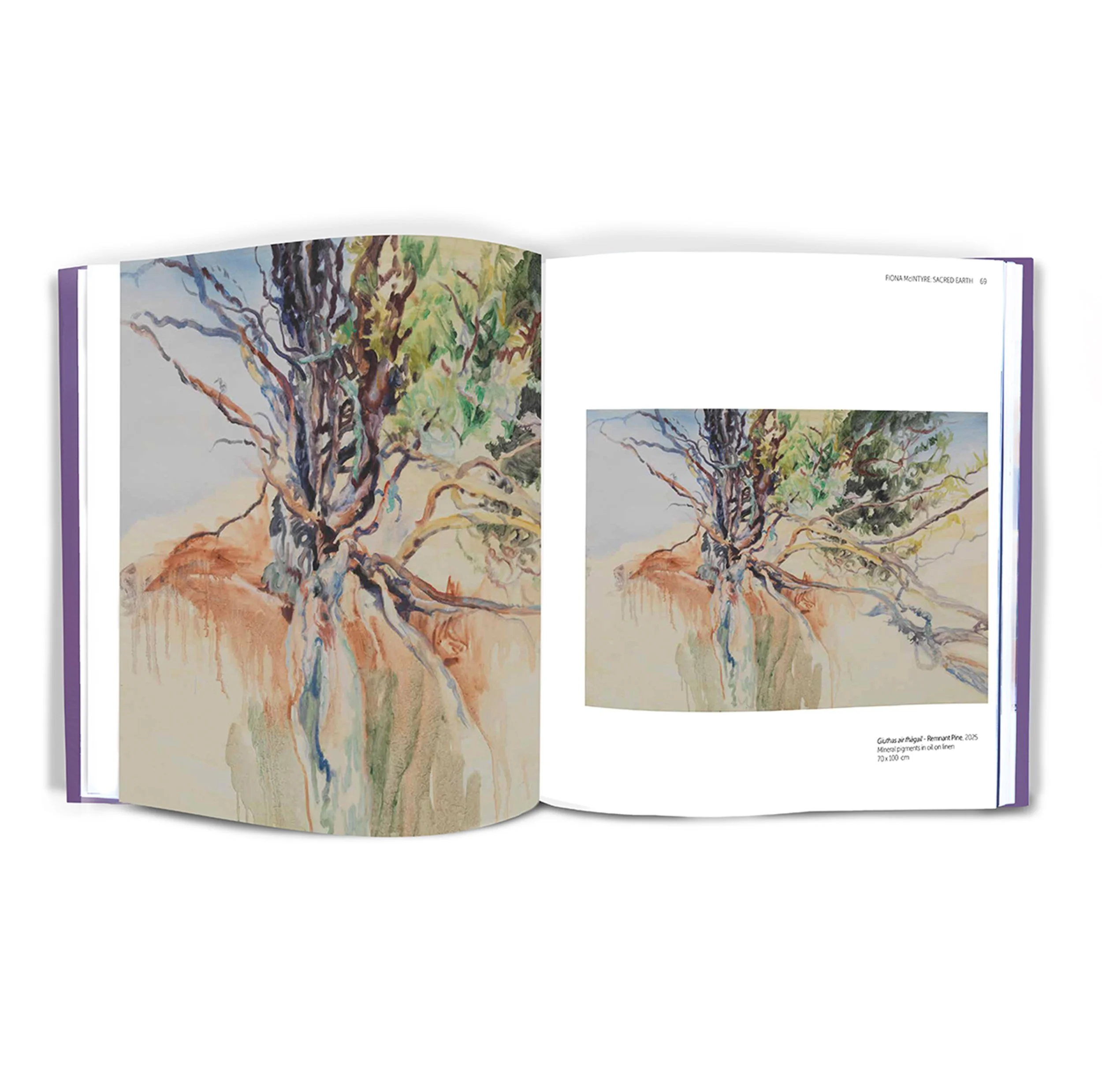 Sacred Earth_remnant_shop.jpg